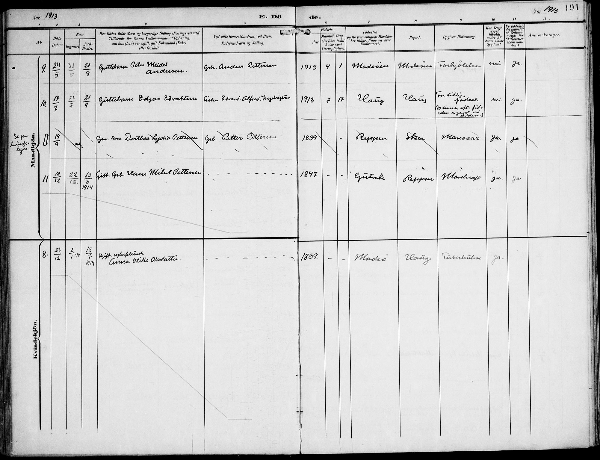 Ministerialprotokoller, klokkerbøker og fødselsregistre - Nord-Trøndelag, SAT/A-1458/788/L0698: Parish register (official) no. 788A05, 1902-1921, p. 191