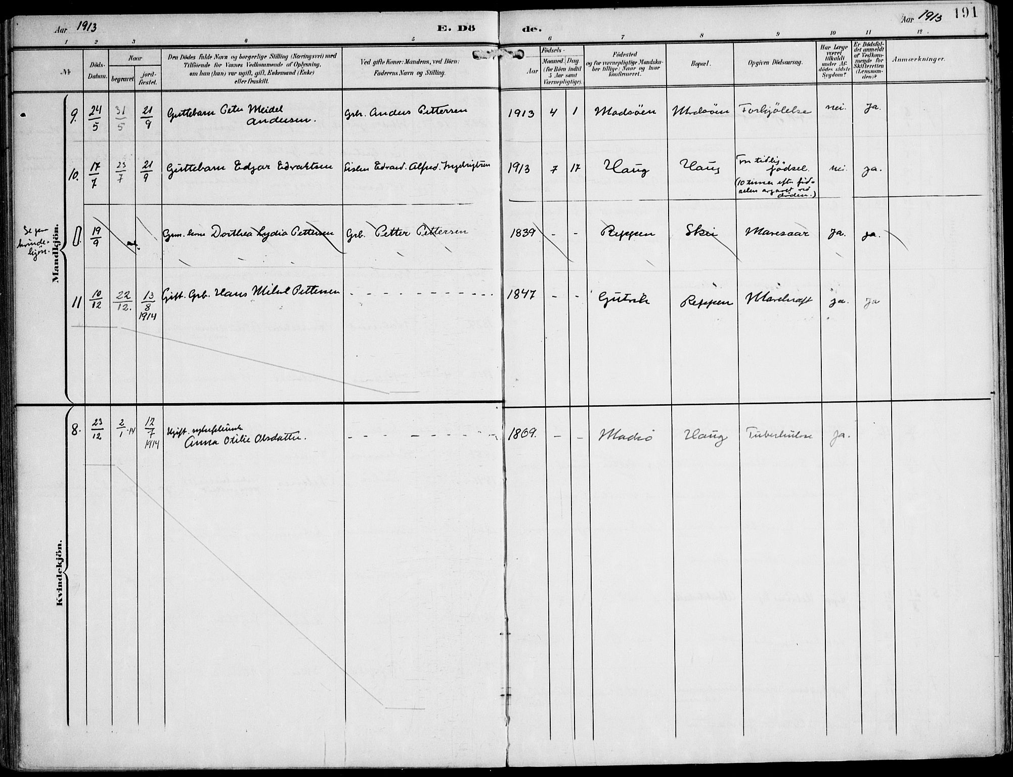 Ministerialprotokoller, klokkerbøker og fødselsregistre - Nord-Trøndelag, AV/SAT-A-1458/788/L0698: Parish register (official) no. 788A05, 1902-1921, p. 191