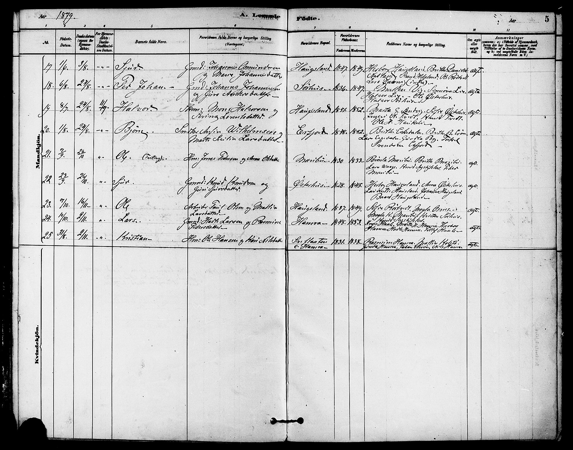 Jelsa sokneprestkontor, AV/SAST-A-101842/01/IV: Parish register (official) no. A 9, 1878-1898, p. 5