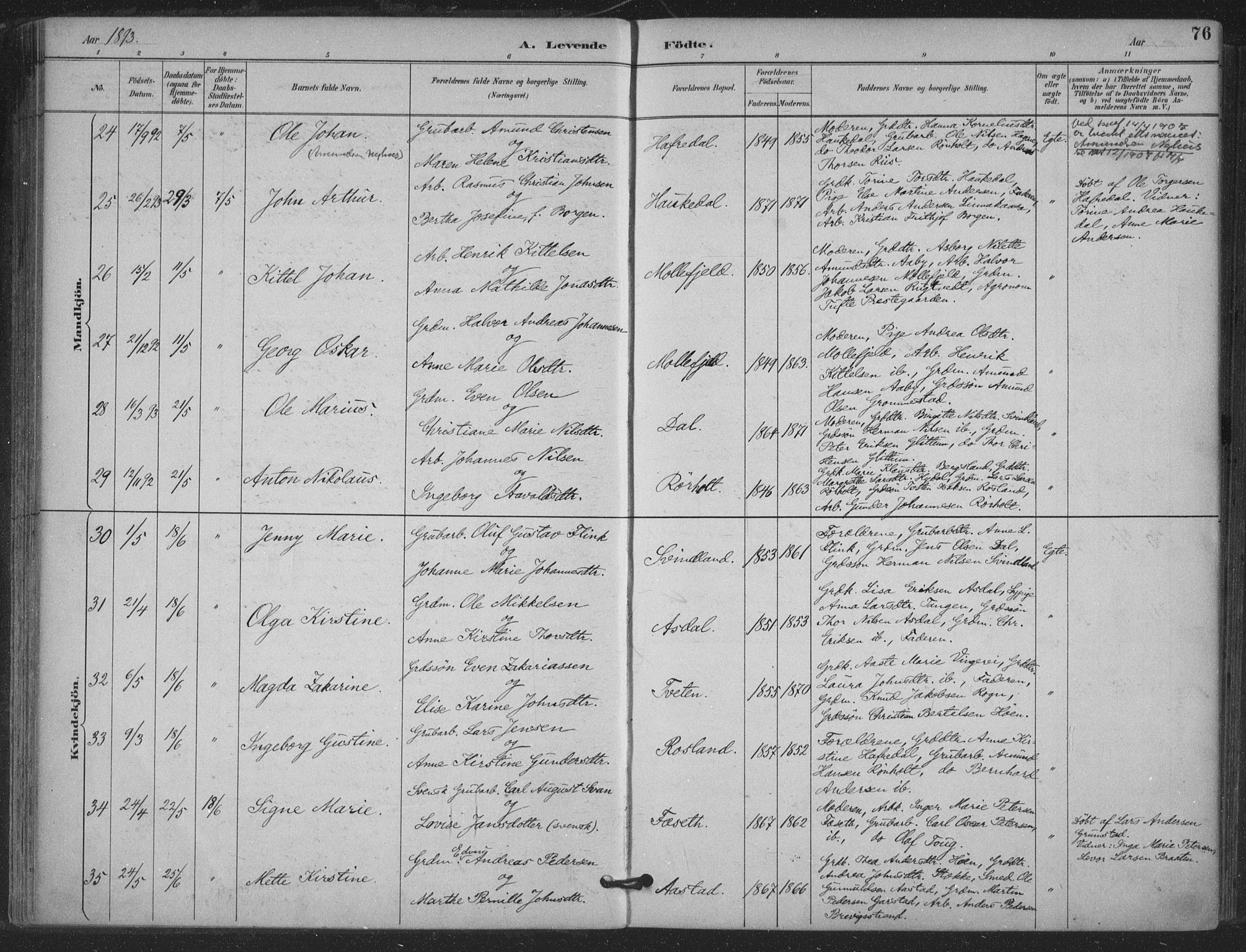 Bamble kirkebøker, AV/SAKO-A-253/F/Fa/L0008: Parish register (official) no. I 8, 1888-1900, p. 76
