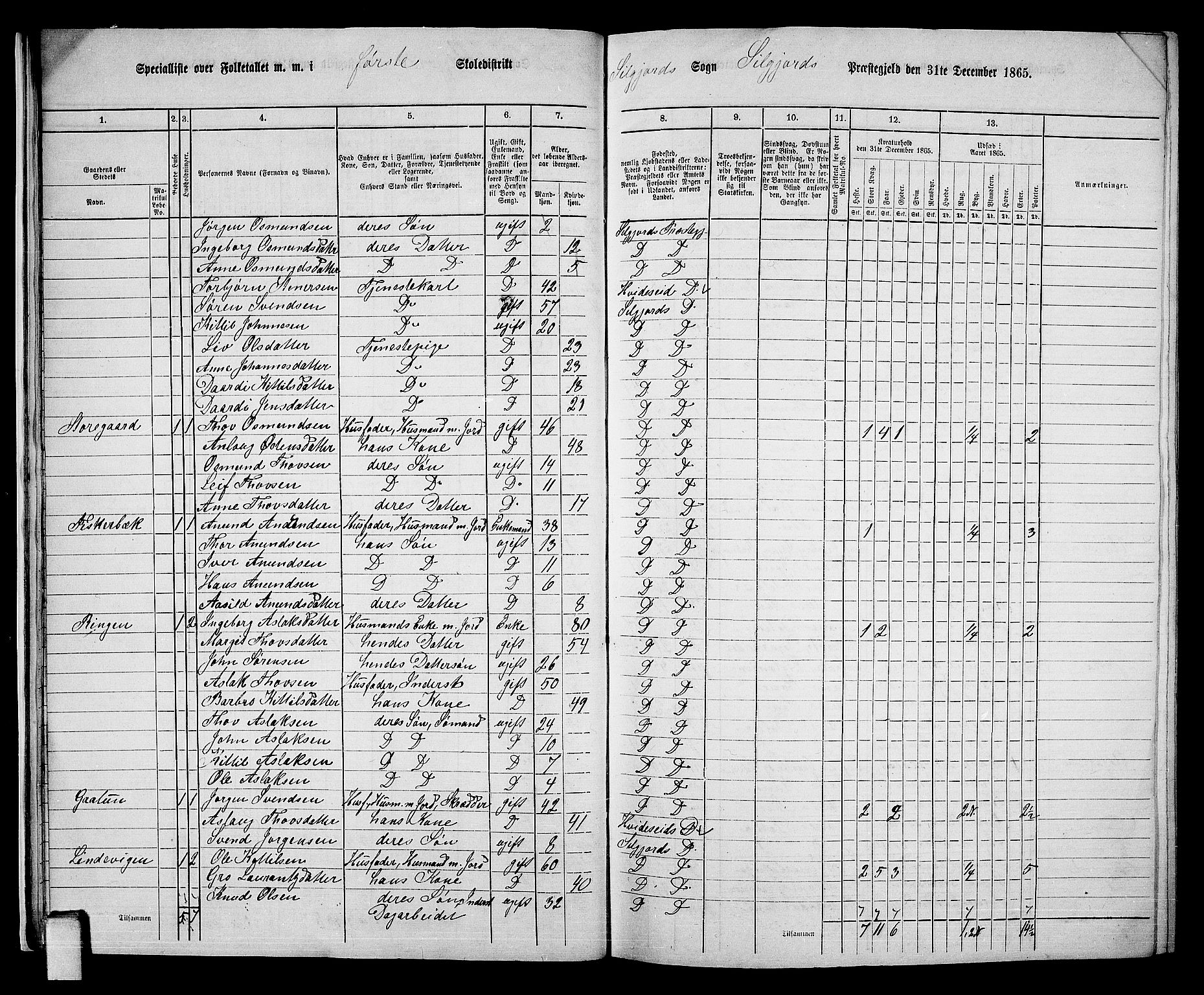 RA, 1865 census for Seljord, 1865, p. 19