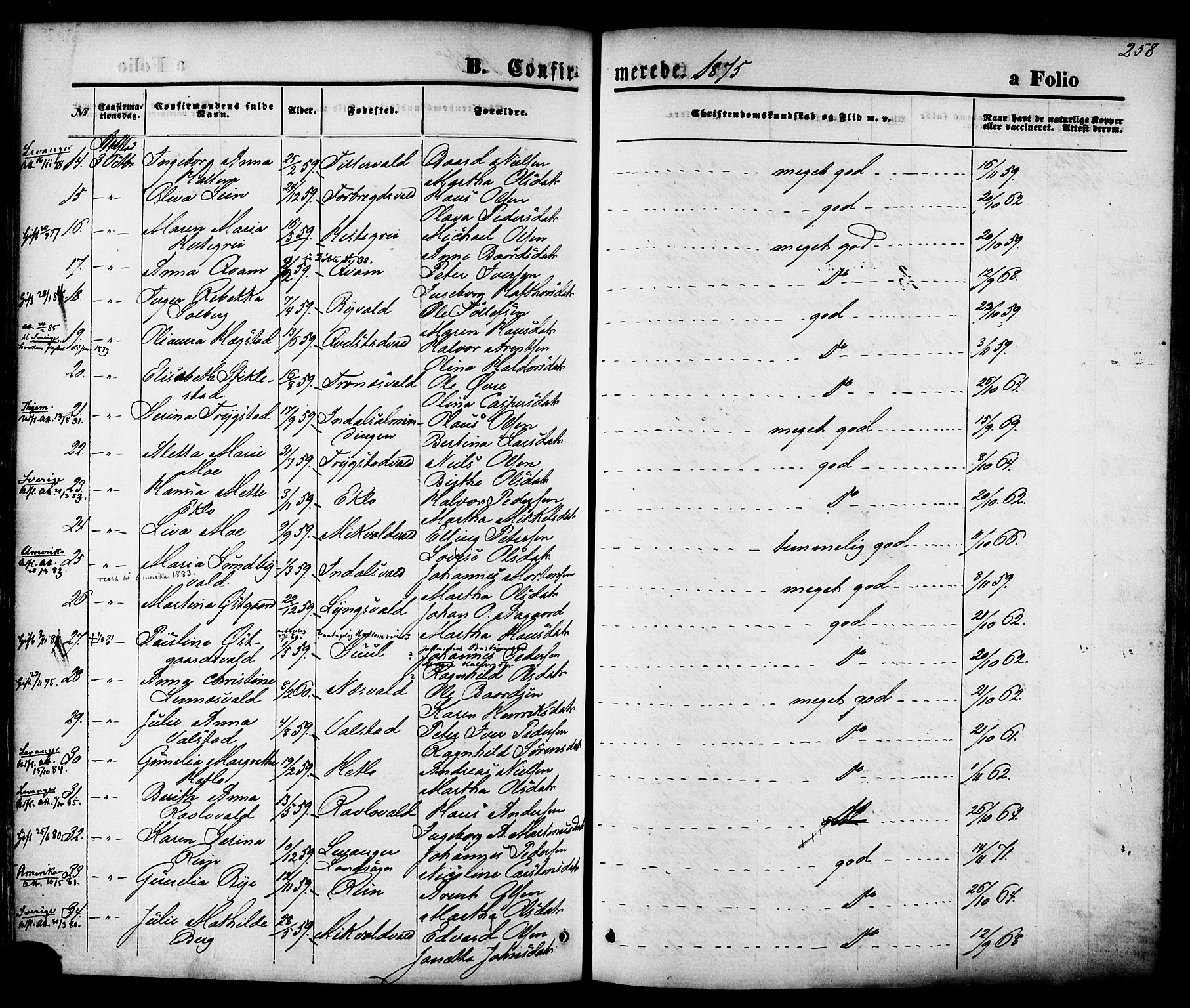 Ministerialprotokoller, klokkerbøker og fødselsregistre - Nord-Trøndelag, SAT/A-1458/723/L0242: Parish register (official) no. 723A11, 1870-1880, p. 258