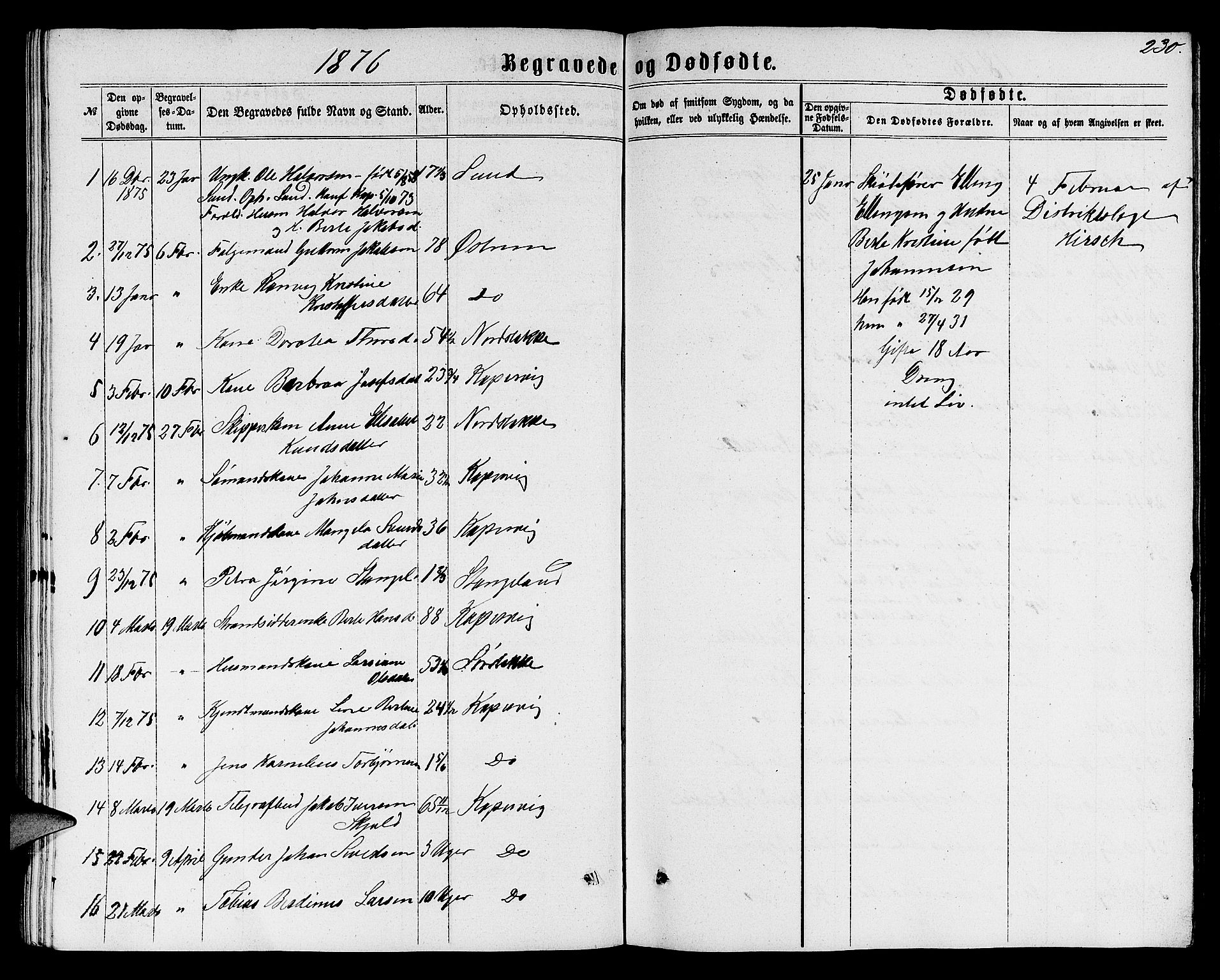 Avaldsnes sokneprestkontor, SAST/A -101851/H/Ha/Hab/L0004: Parish register (copy) no. B 4, 1861-1876, p. 230