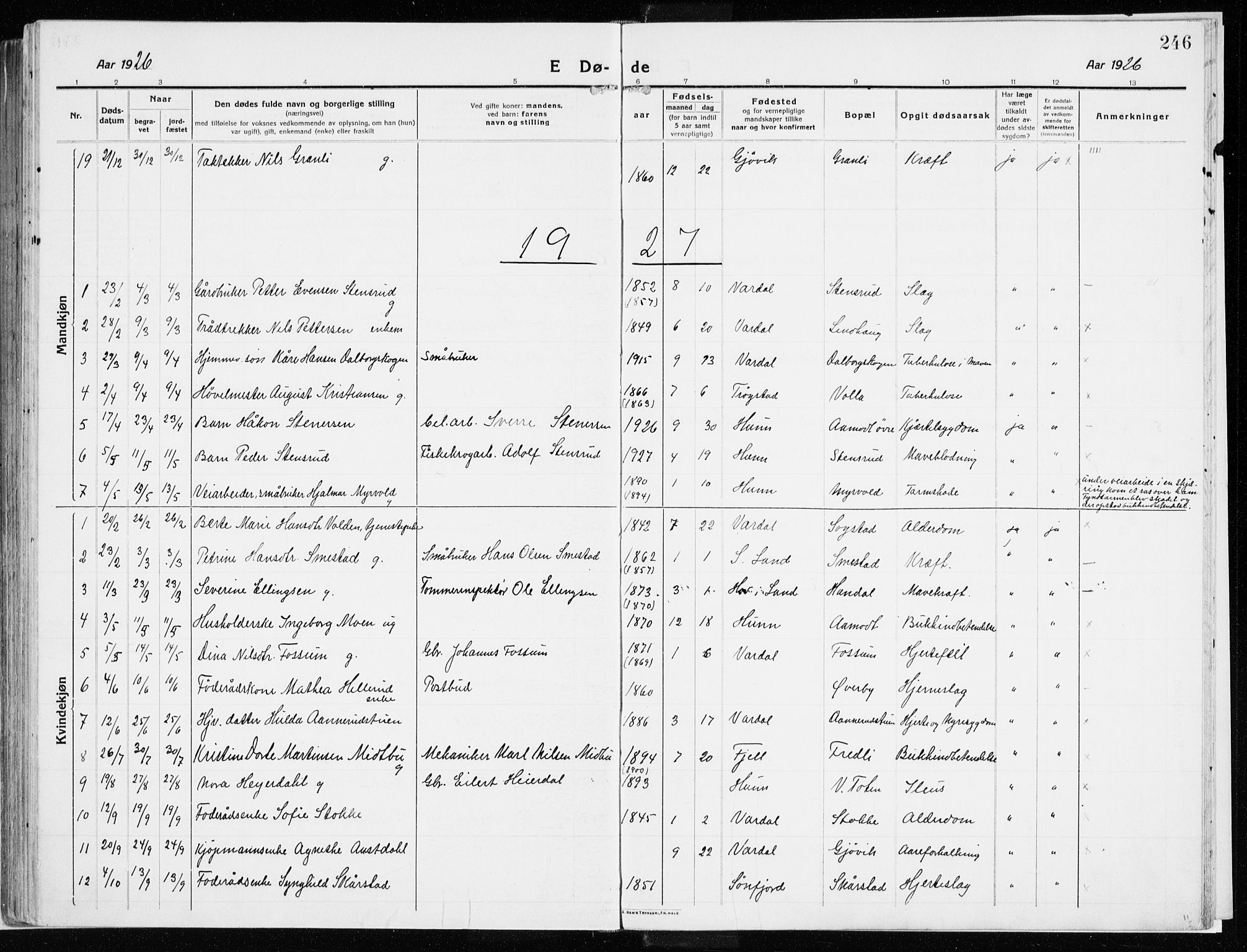 Vardal prestekontor, SAH/PREST-100/H/Ha/Haa/L0017: Parish register (official) no. 17, 1915-1929, p. 246