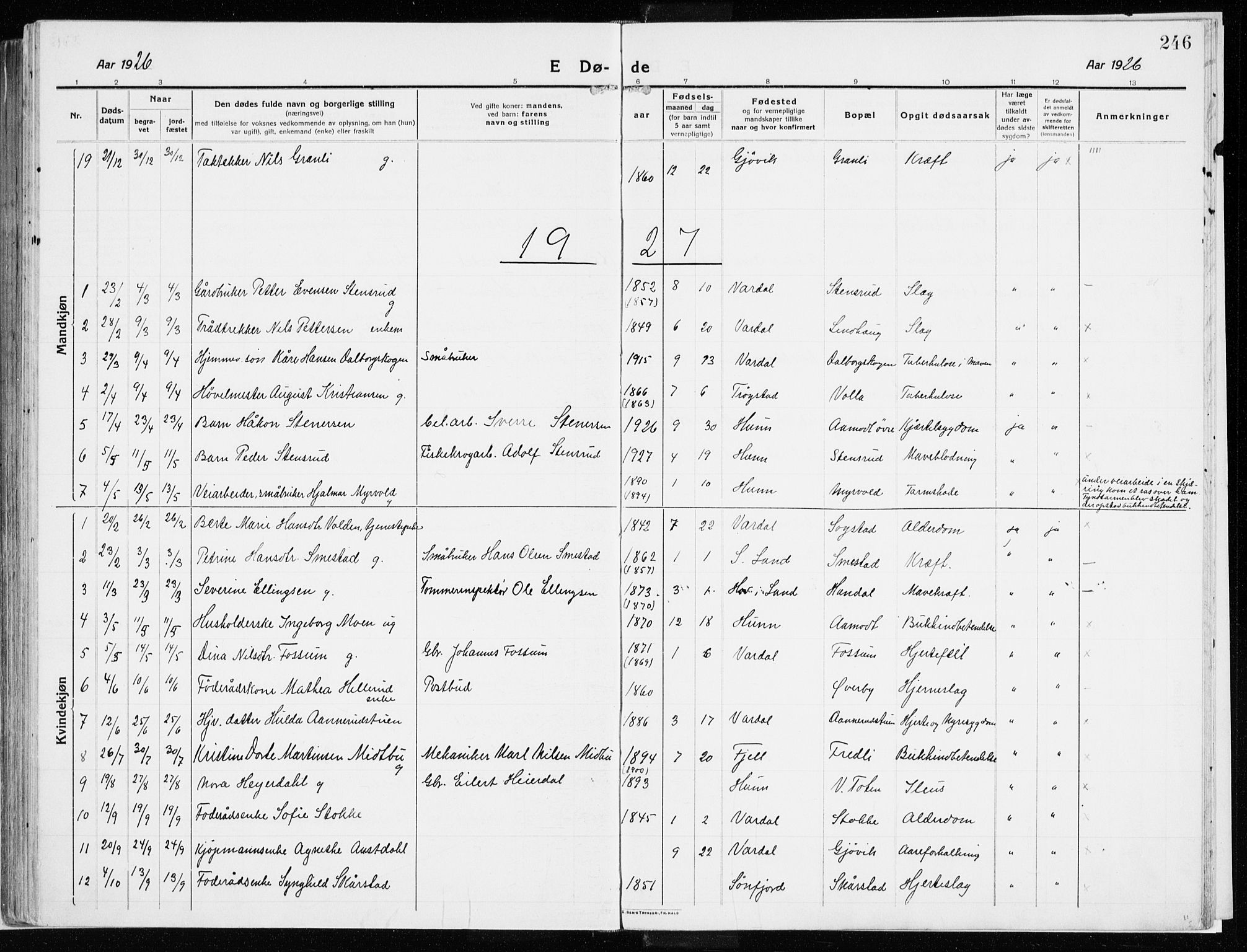 Vardal prestekontor, AV/SAH-PREST-100/H/Ha/Haa/L0017: Parish register (official) no. 17, 1915-1929, p. 246