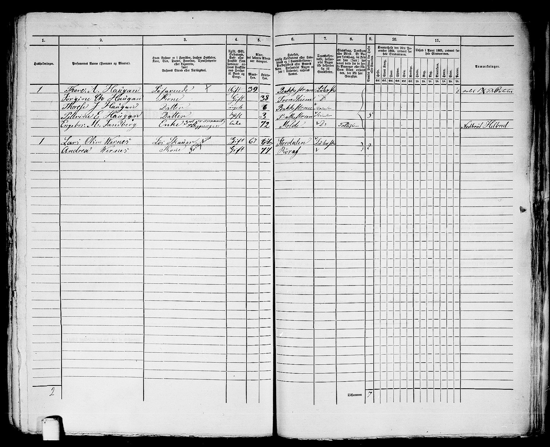 RA, 1865 census for Trondheim, 1865, p. 3129