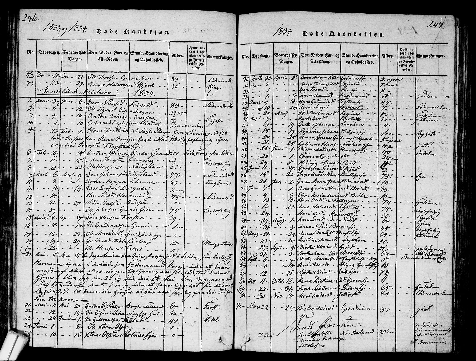 Nes prestekontor Kirkebøker, SAO/A-10410/G/Ga/L0001: Parish register (copy) no. I 1, 1815-1835, p. 246-247