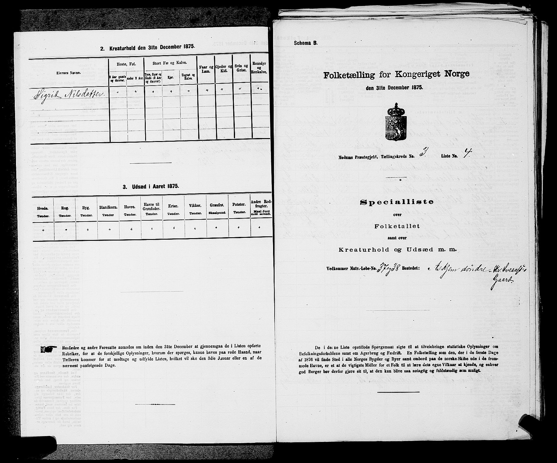 SAKO, 1875 census for 0623P Modum, 1875, p. 316