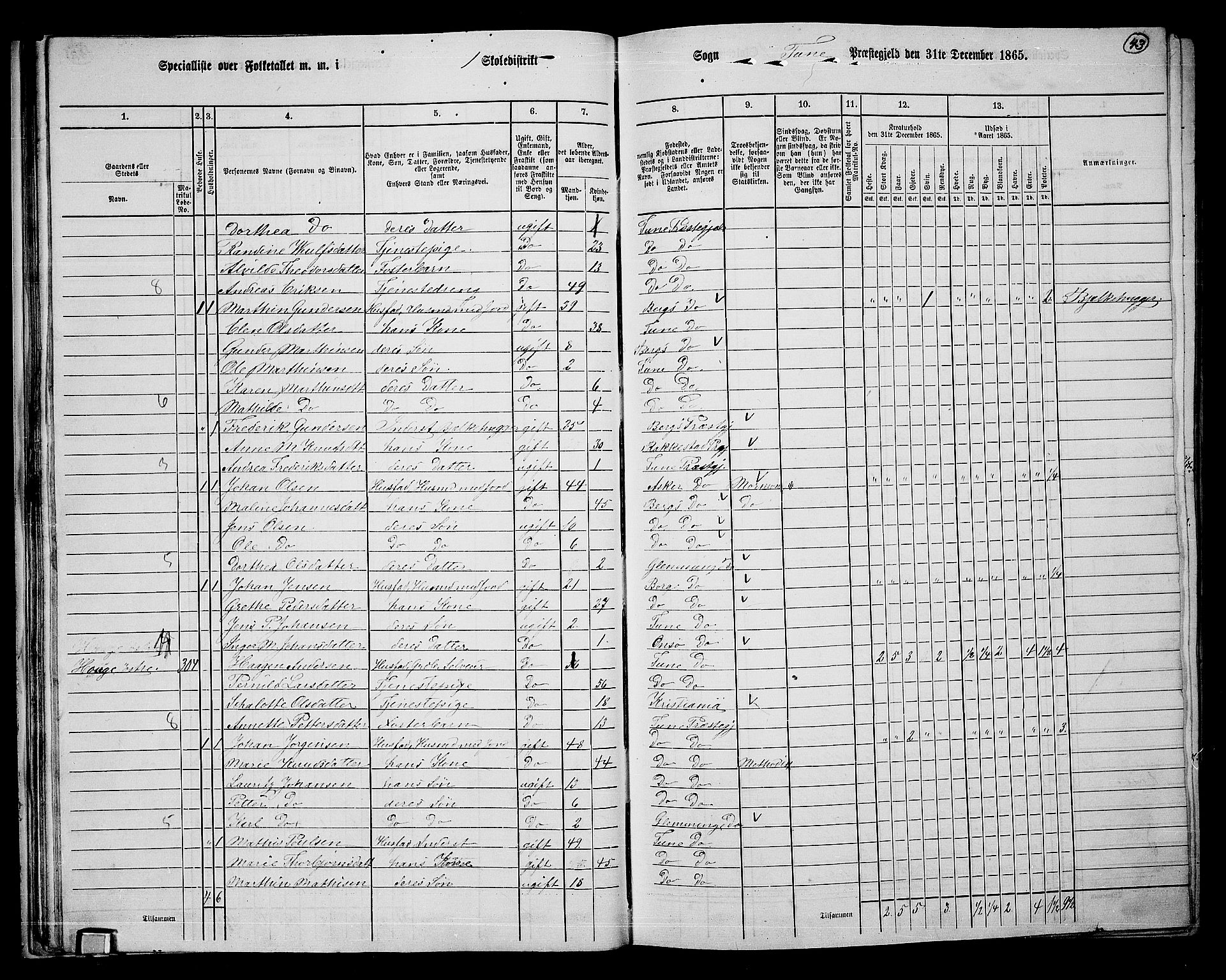 RA, 1865 census for Tune, 1865, p. 40