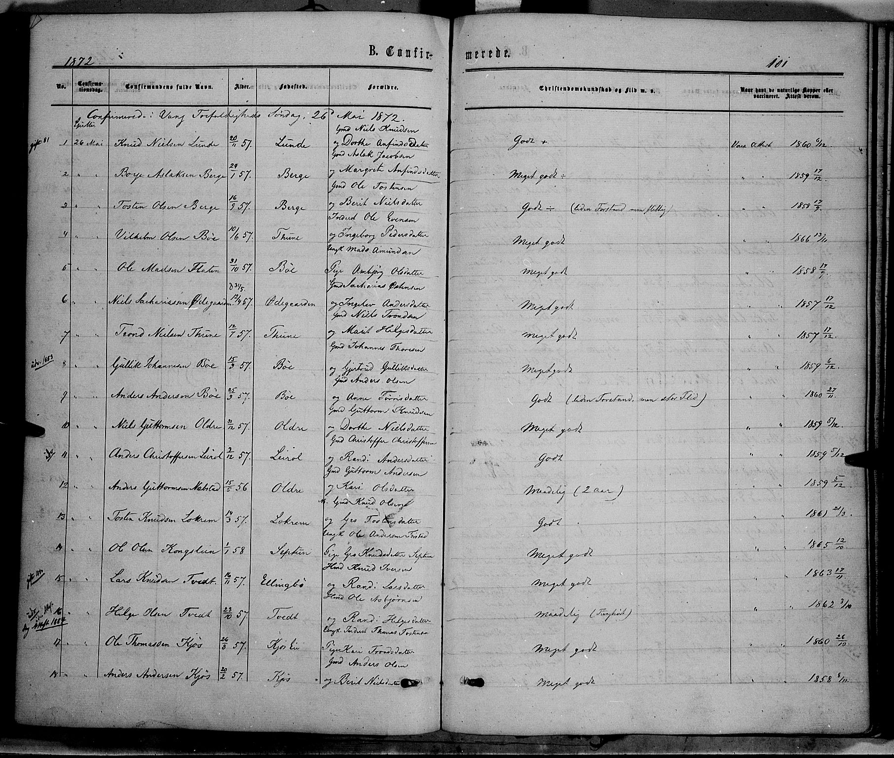 Vang prestekontor, Valdres, SAH/PREST-140/H/Ha/L0007: Parish register (official) no. 7, 1865-1881, p. 101