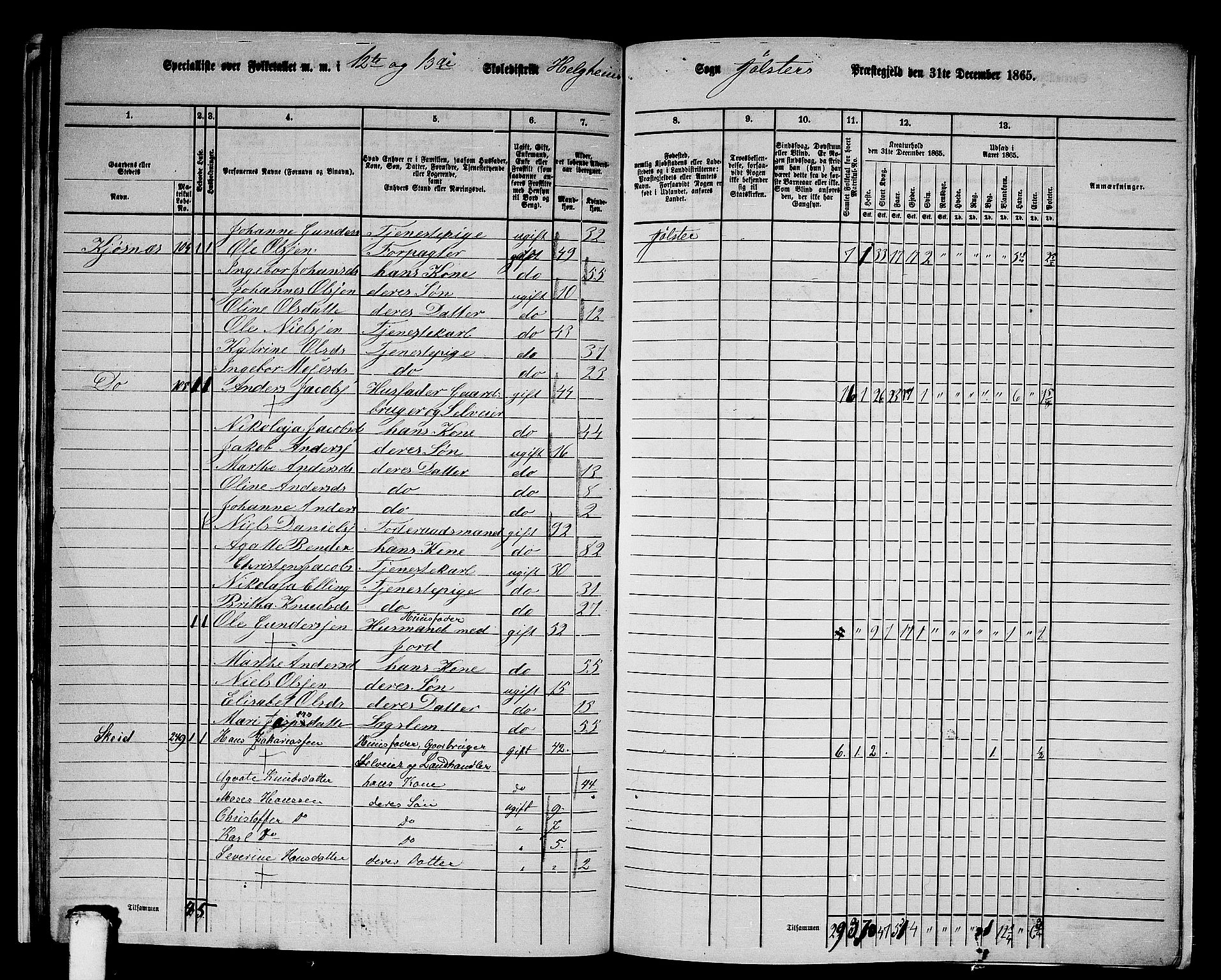 RA, 1865 census for Jølster, 1865, p. 31