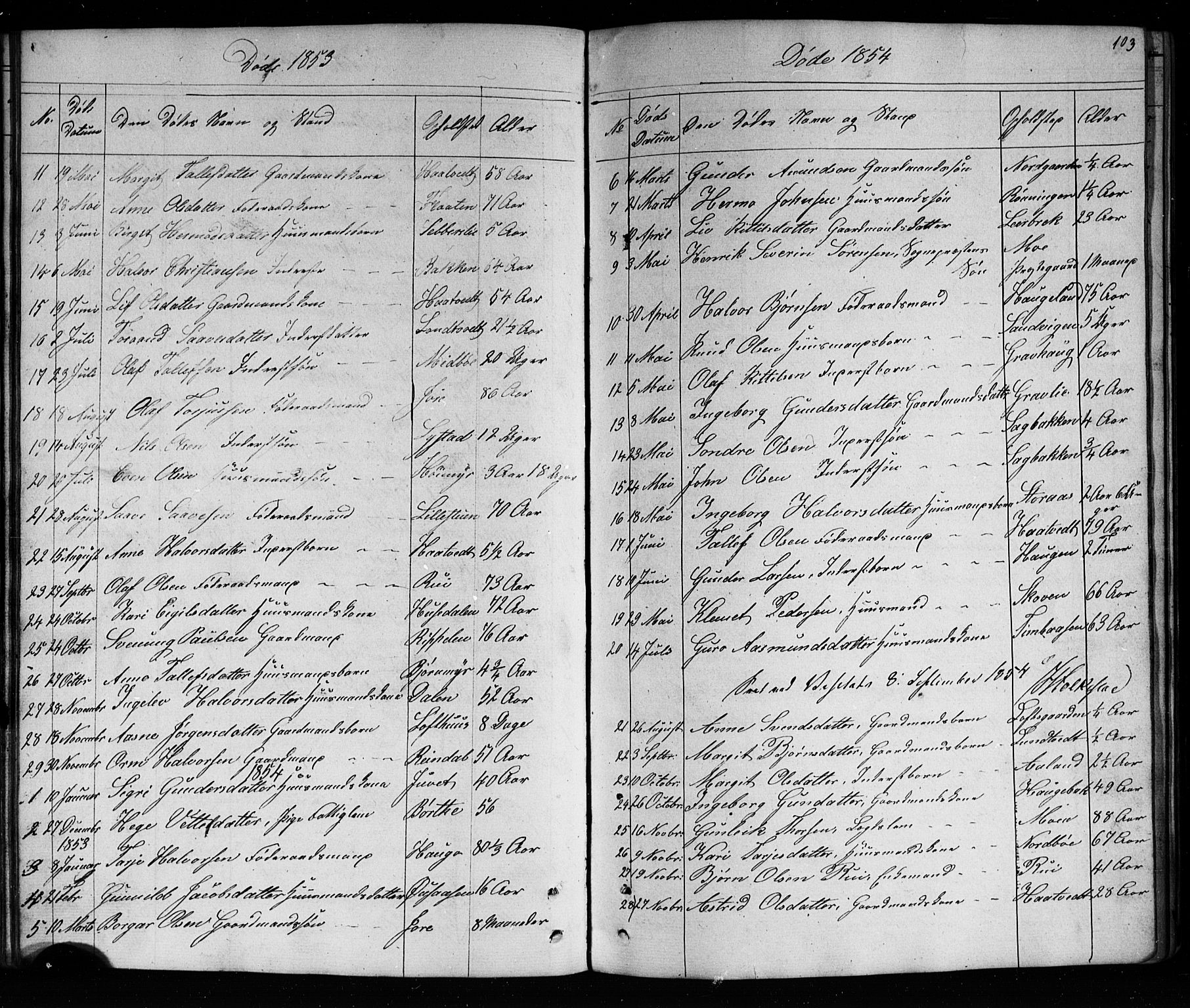 Mo kirkebøker, SAKO/A-286/G/Ga/L0001: Parish register (copy) no. I 1, 1851-1891, p. 103