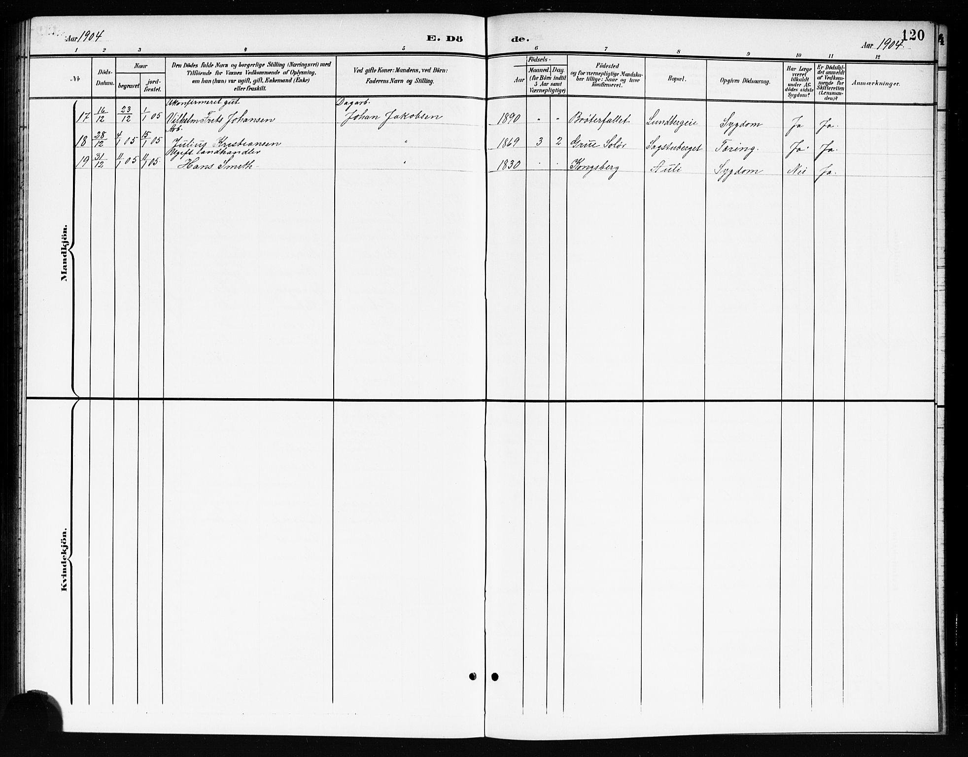 Nes prestekontor Kirkebøker, AV/SAO-A-10410/G/Gc/L0001: Parish register (copy) no. III 1, 1901-1917, p. 120