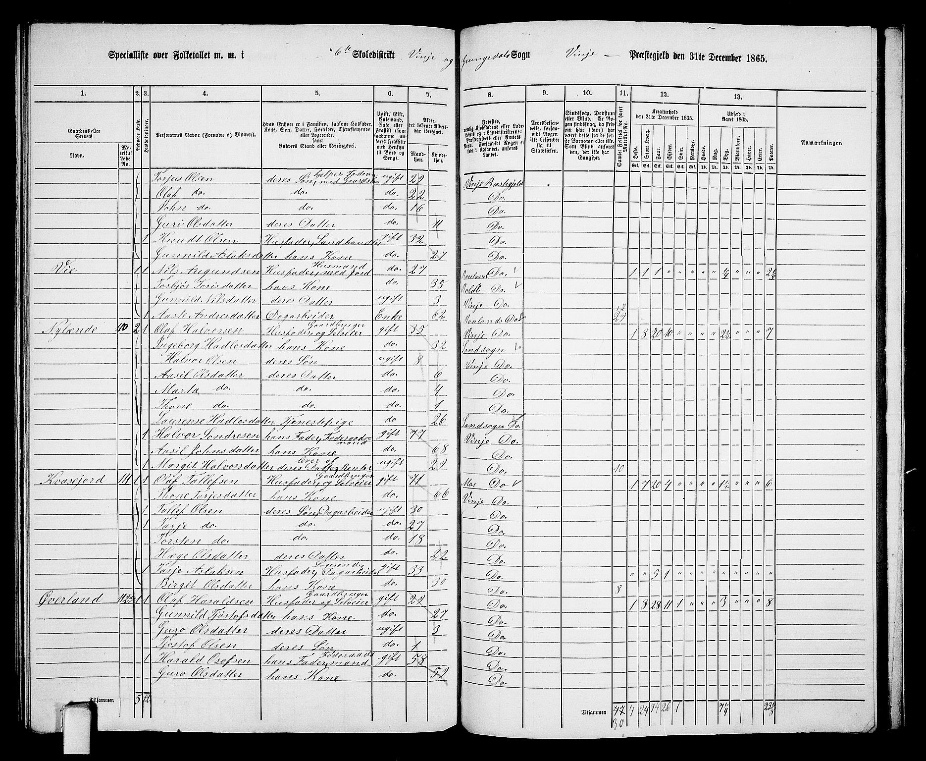 RA, 1865 census for Vinje, 1865, p. 65