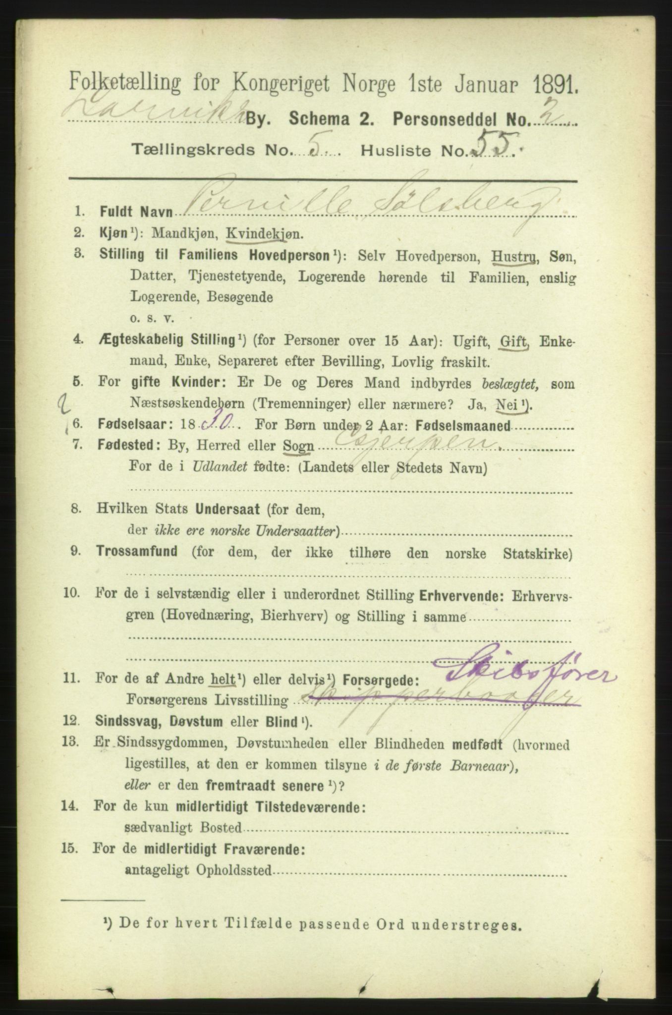 RA, 1891 census for 0707 Larvik, 1891, p. 6540
