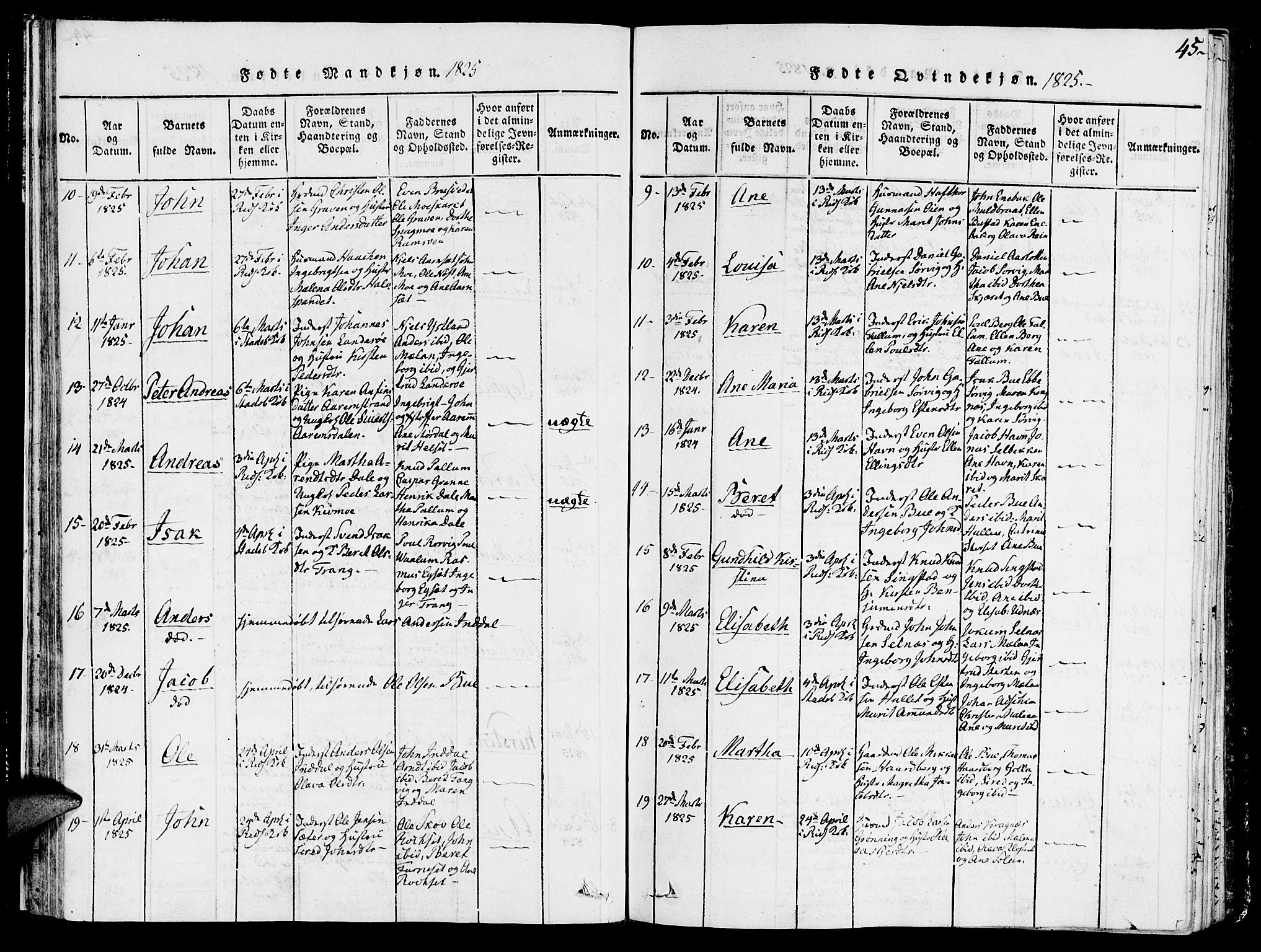 Ministerialprotokoller, klokkerbøker og fødselsregistre - Sør-Trøndelag, SAT/A-1456/646/L0608: Parish register (official) no. 646A06, 1816-1825, p. 45