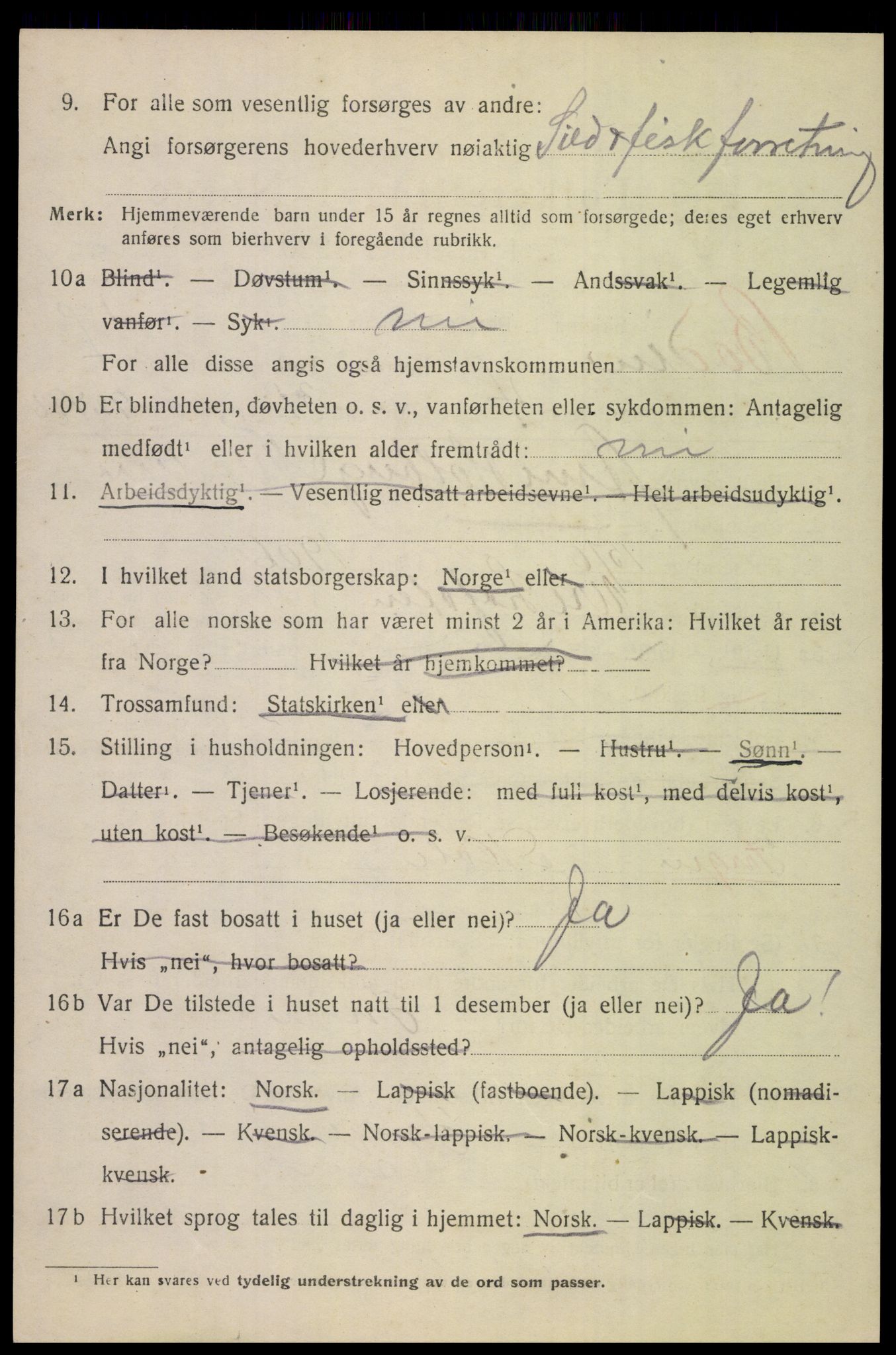 SAT, 1920 census for Bodin, 1920, p. 4867