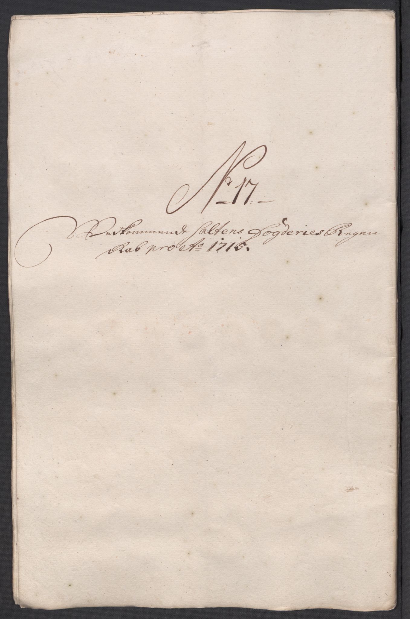 Rentekammeret inntil 1814, Reviderte regnskaper, Fogderegnskap, AV/RA-EA-4092/R66/L4585: Fogderegnskap Salten, 1715, p. 223