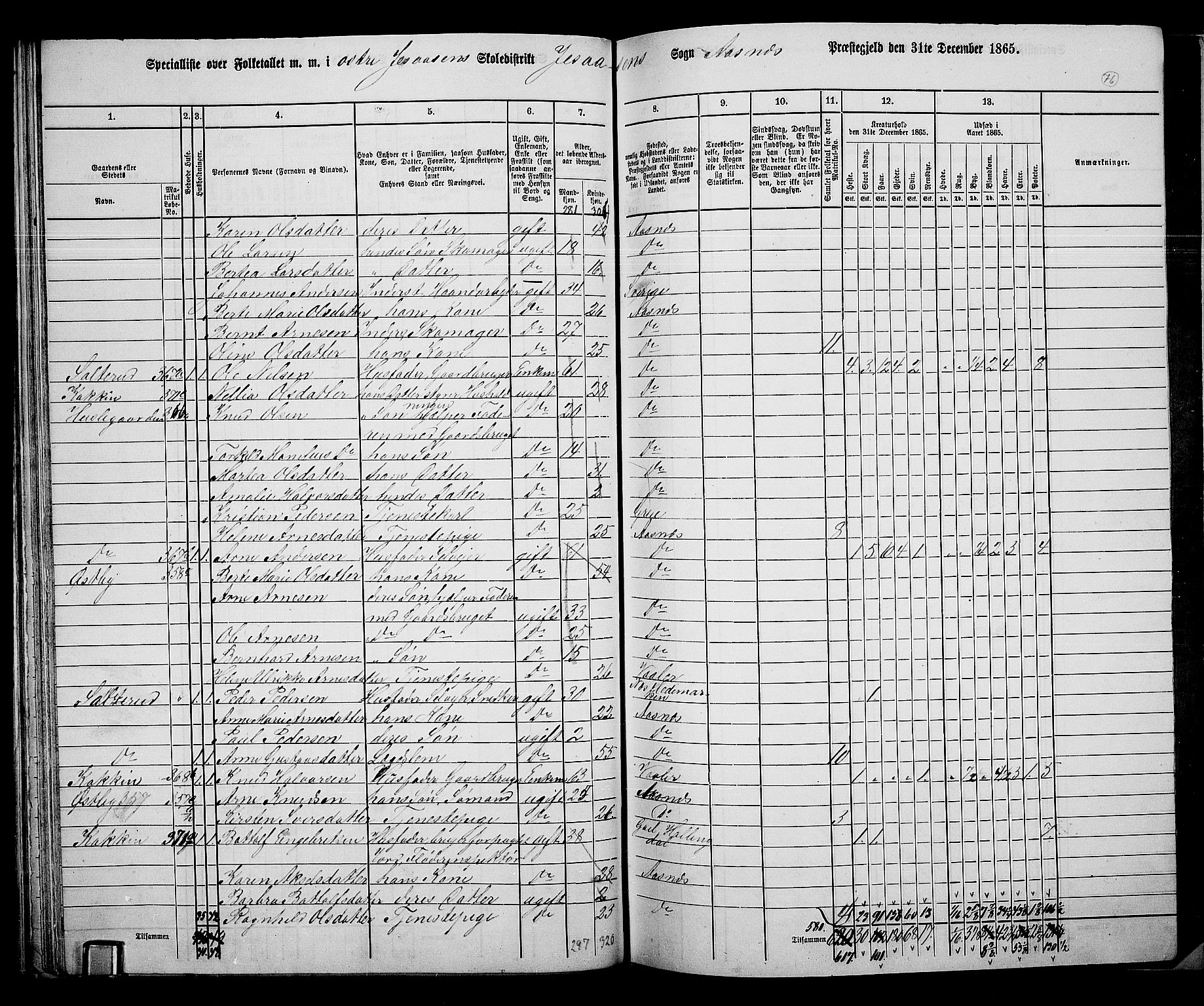 RA, 1865 census for Åsnes, 1865, p. 72