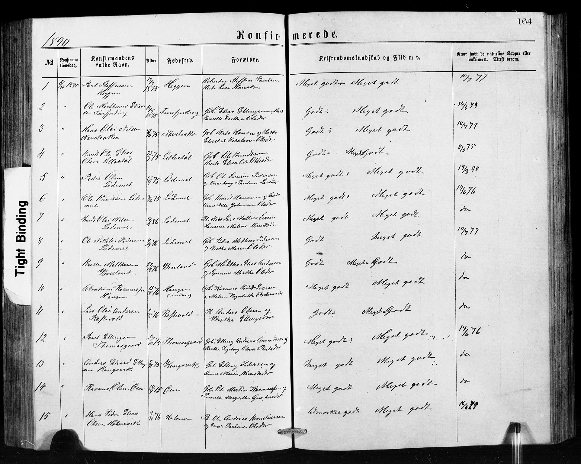 Hornindal sokneprestembete, SAB/A-82401/H/Hab: Parish register (copy) no. A 1, 1876-1894, p. 164