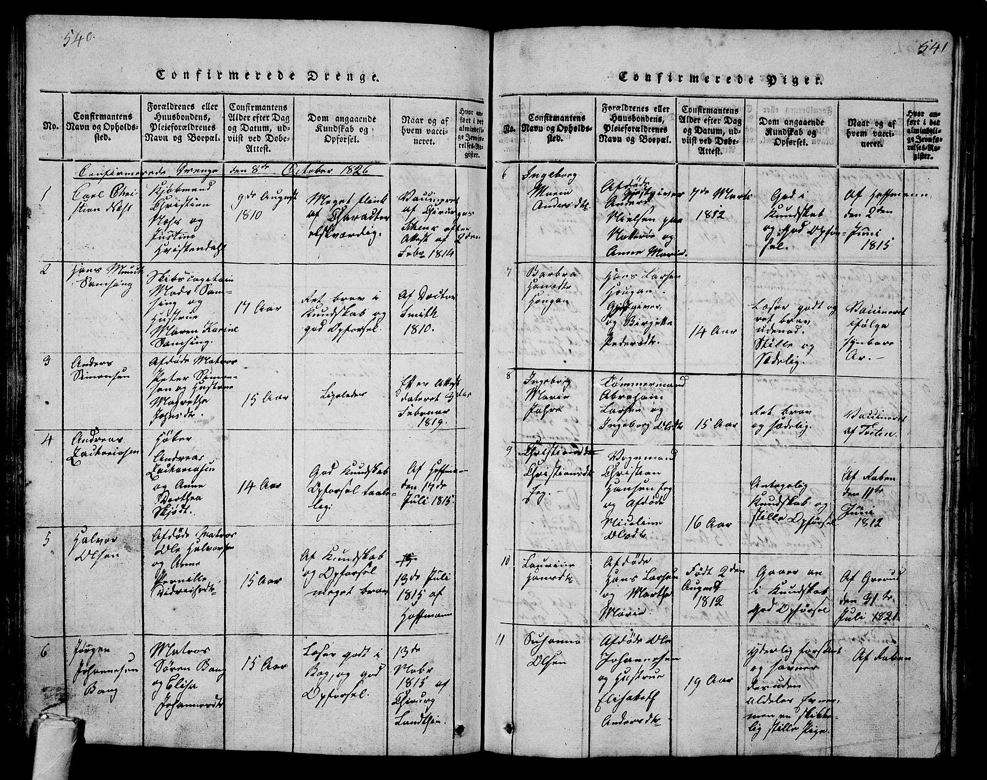 Tønsberg kirkebøker, AV/SAKO-A-330/G/Ga/L0001: Parish register (copy) no. 1, 1813-1826, p. 540-541