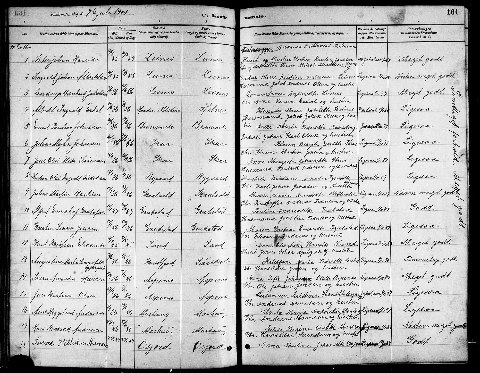 Ministerialprotokoller, klokkerbøker og fødselsregistre - Nordland, AV/SAT-A-1459/857/L0828: Parish register (copy) no. 857C03, 1879-1908, p. 164