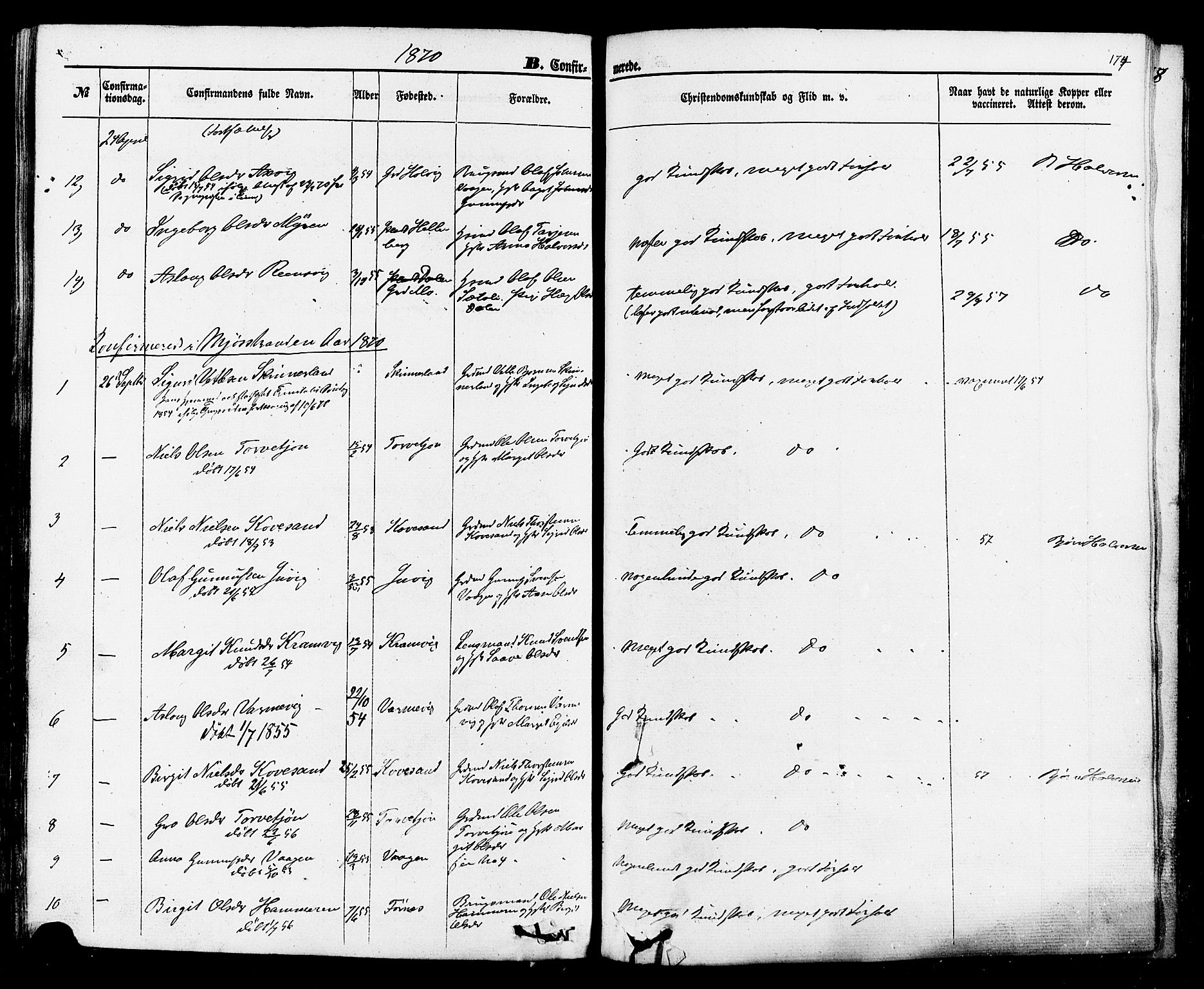 Rauland kirkebøker, SAKO/A-292/F/Fa/L0003: Parish register (official) no. 3, 1859-1886, p. 174