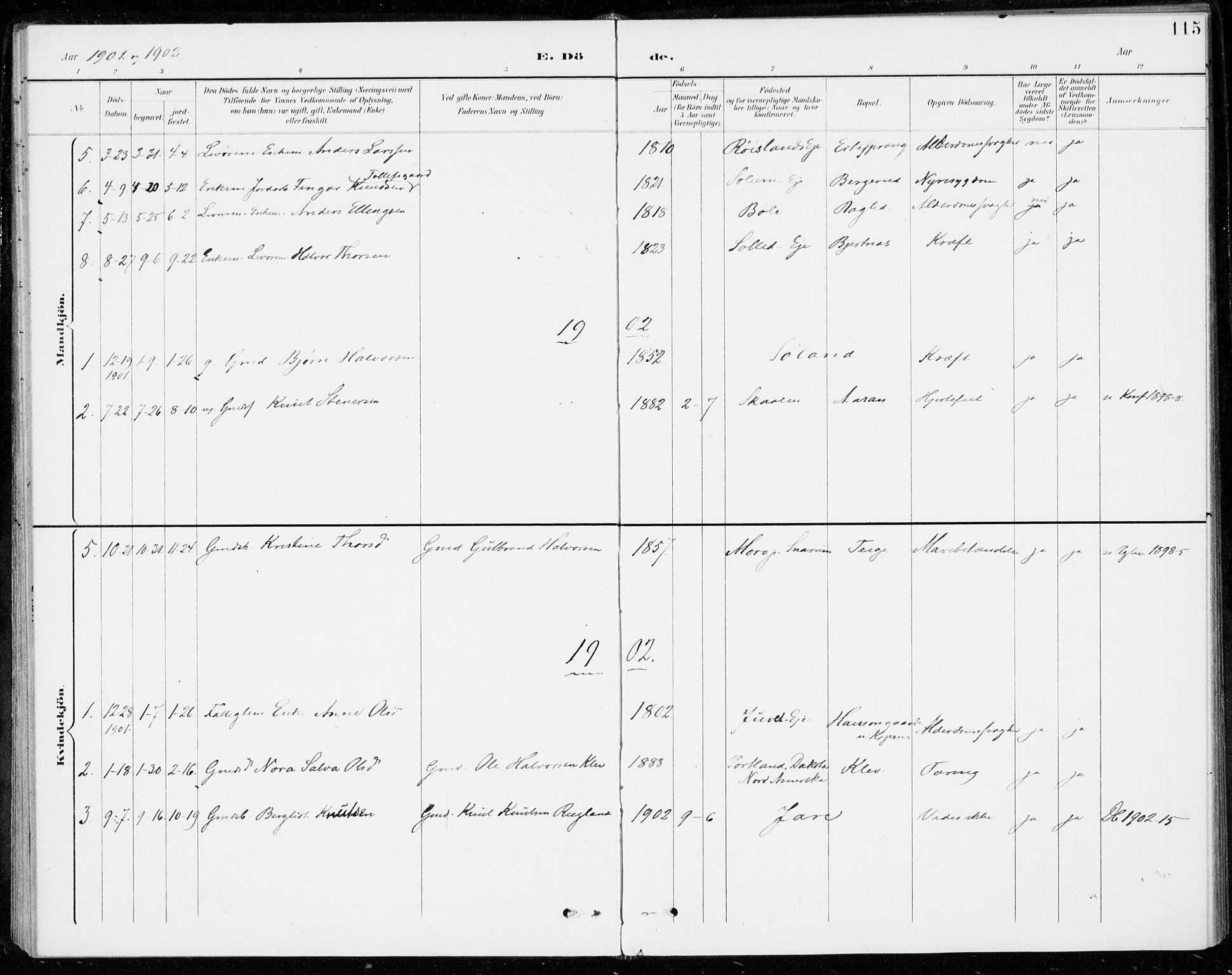 Sigdal kirkebøker, SAKO/A-245/F/Fc/L0002: Parish register (official) no. III 2, 1894-1911, p. 115