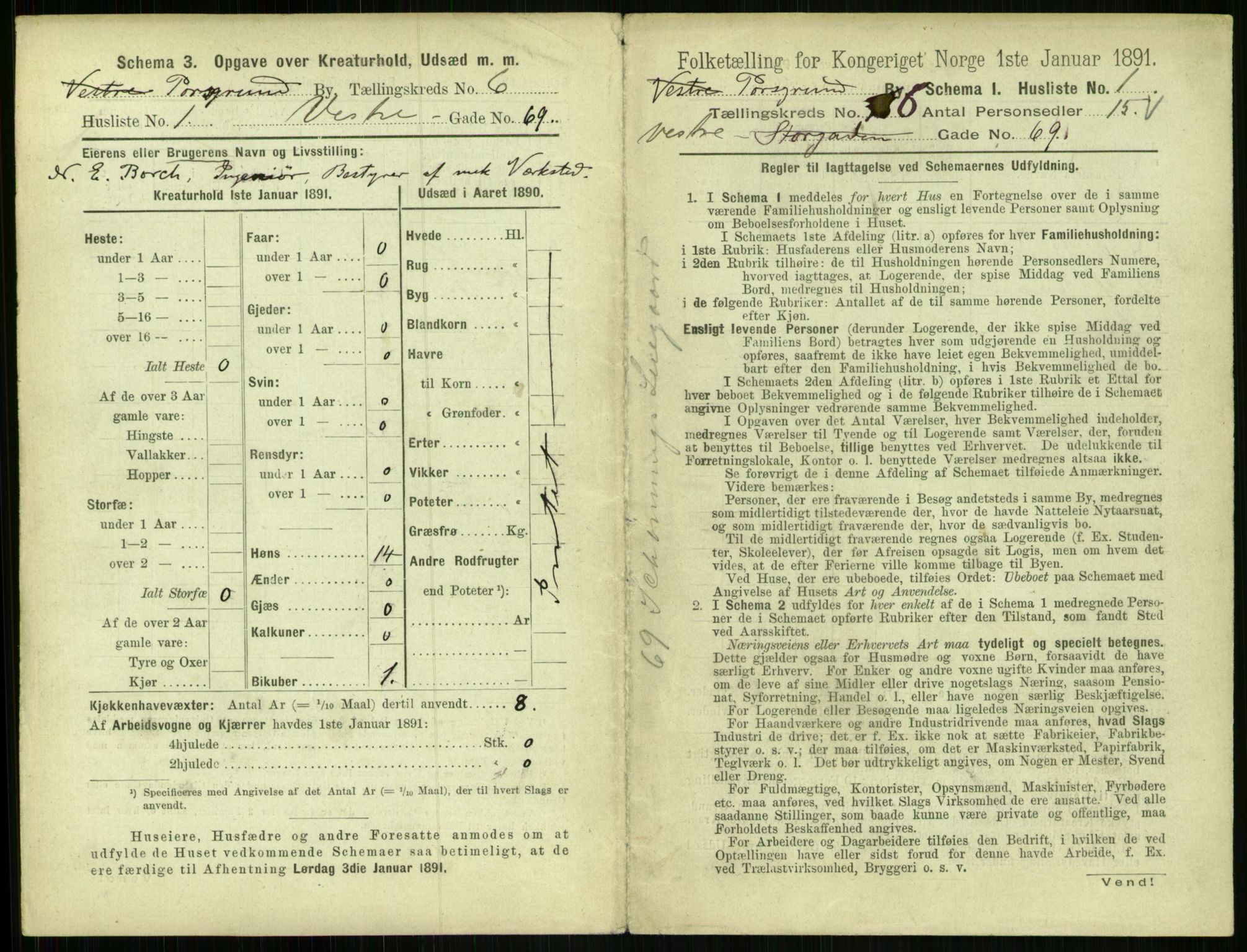 RA, 1891 census for 0805 Porsgrunn, 1891, p. 1185