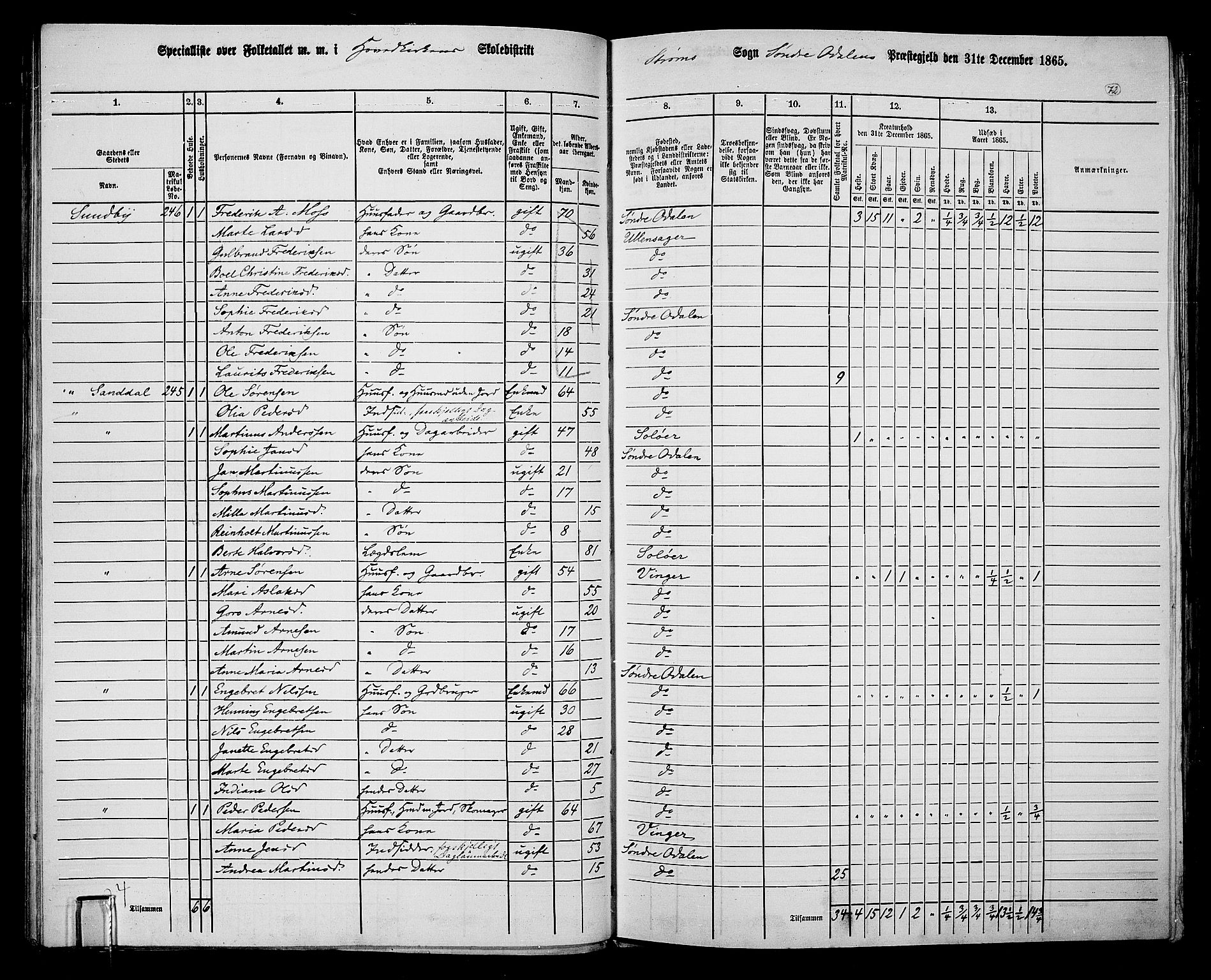 RA, 1865 census for Sør-Odal, 1865, p. 62