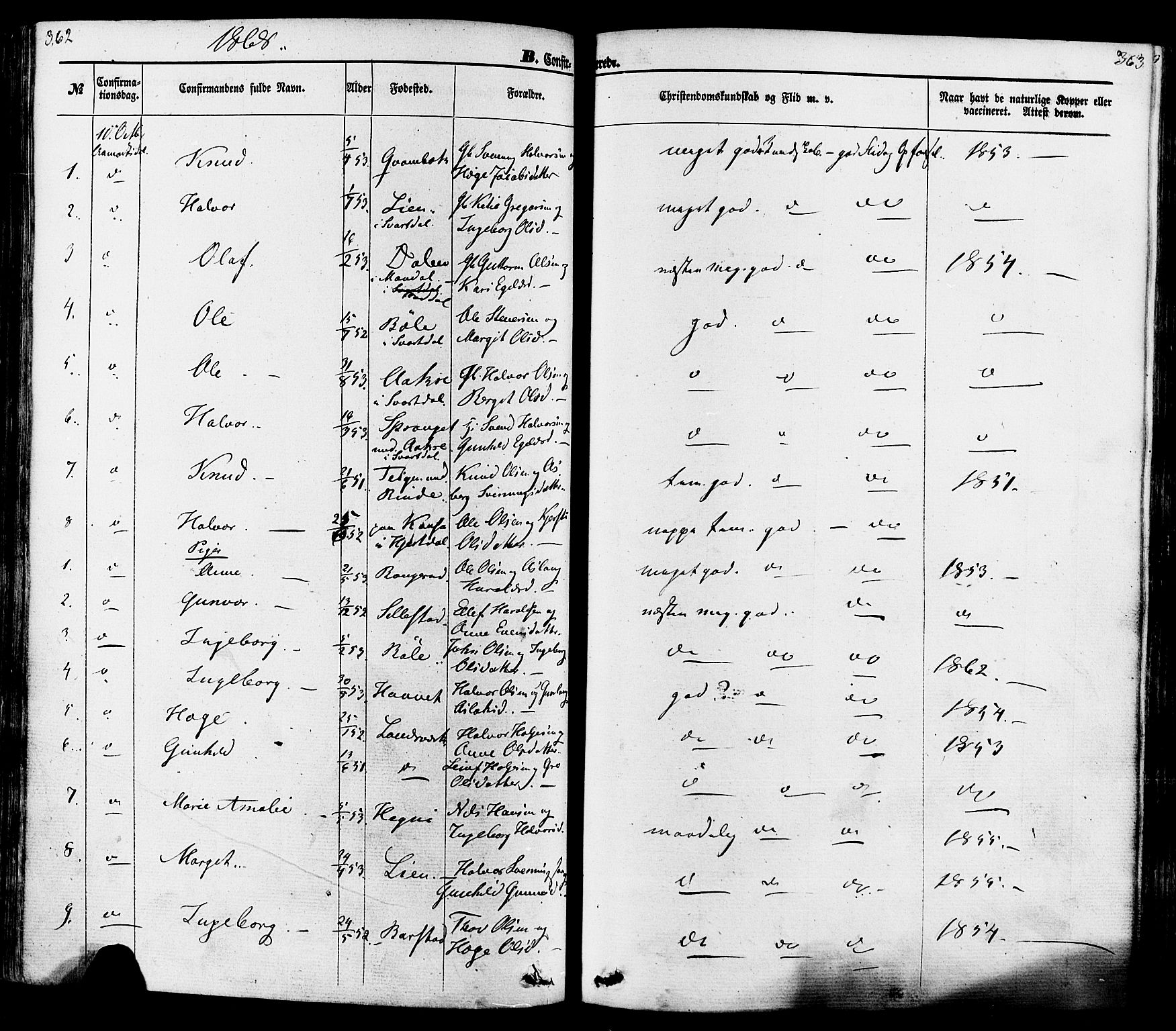 Seljord kirkebøker, SAKO/A-20/F/Fa/L0013: Parish register (official) no. I 13, 1866-1876, p. 362-363