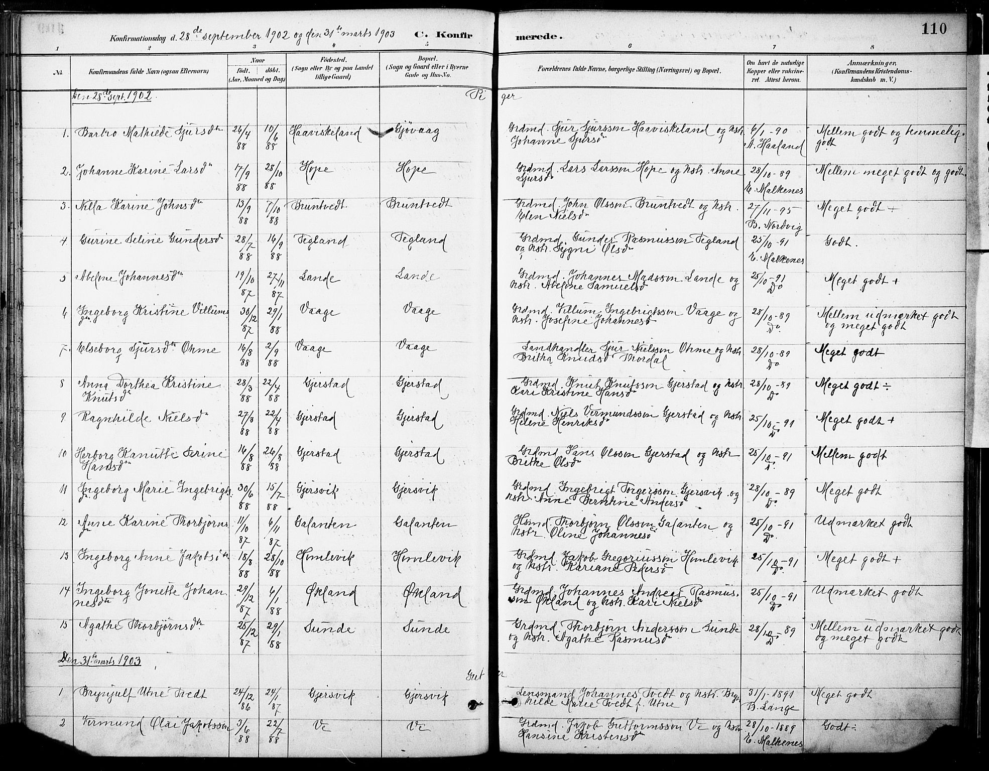 Tysnes sokneprestembete, SAB/A-78601/H/Haa: Parish register (official) no. B 1, 1887-1906, p. 110