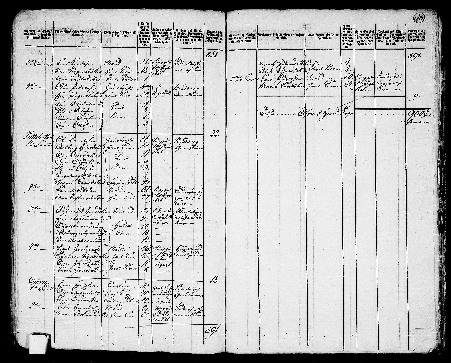 RA, 1801 census for 1853P Ofoten, 1801, p. 644b-645a