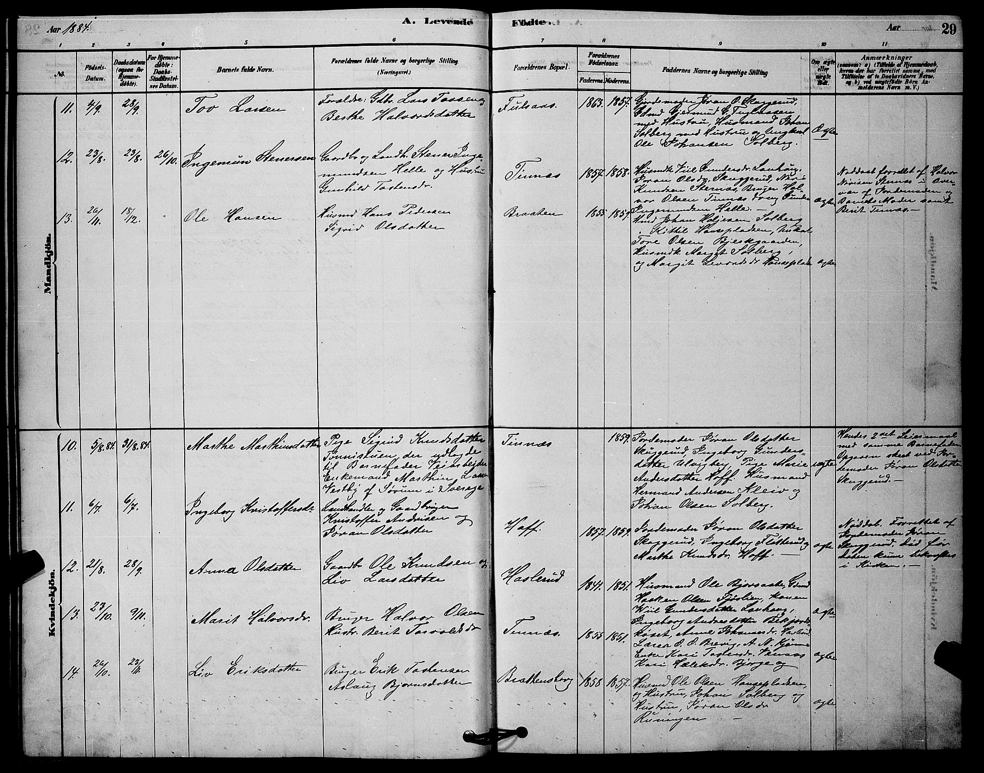 Rollag kirkebøker, AV/SAKO-A-240/G/Ga/L0004: Parish register (copy) no. I 4, 1878-1903, p. 29