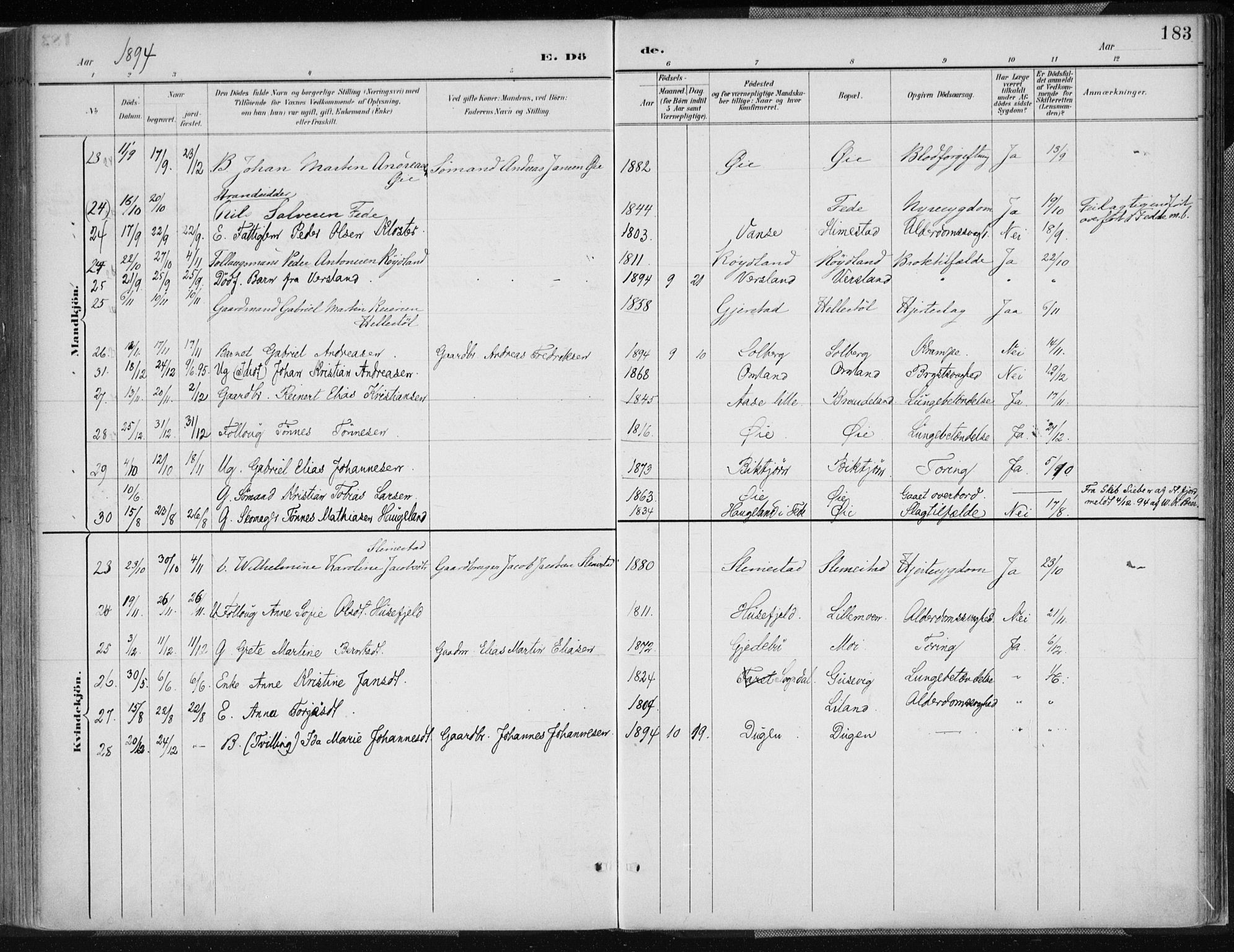 Kvinesdal sokneprestkontor, AV/SAK-1111-0026/F/Fa/Fab/L0008: Parish register (official) no. A 8, 1886-1897, p. 183