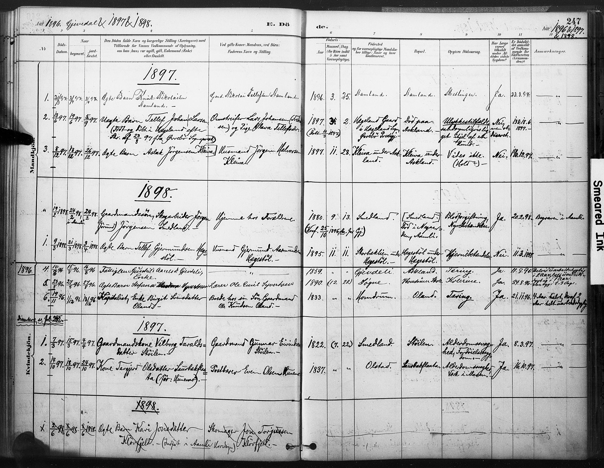 Åmli sokneprestkontor, SAK/1111-0050/F/Fa/Fac/L0010: Parish register (official) no. A 10 /2, 1885-1899, p. 247
