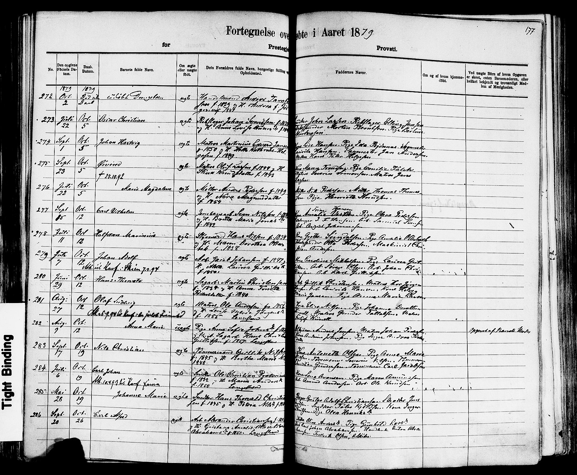 Larvik kirkebøker, AV/SAKO-A-352/F/Fa/L0006: Parish register (official) no. I 6, 1871-1883, p. 177