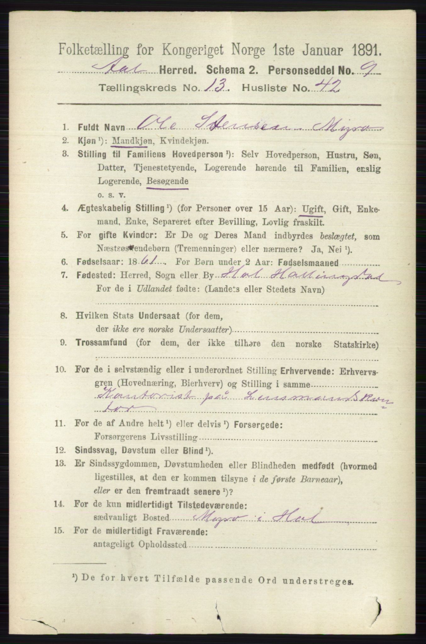 RA, 1891 census for 0619 Ål, 1891, p. 3502