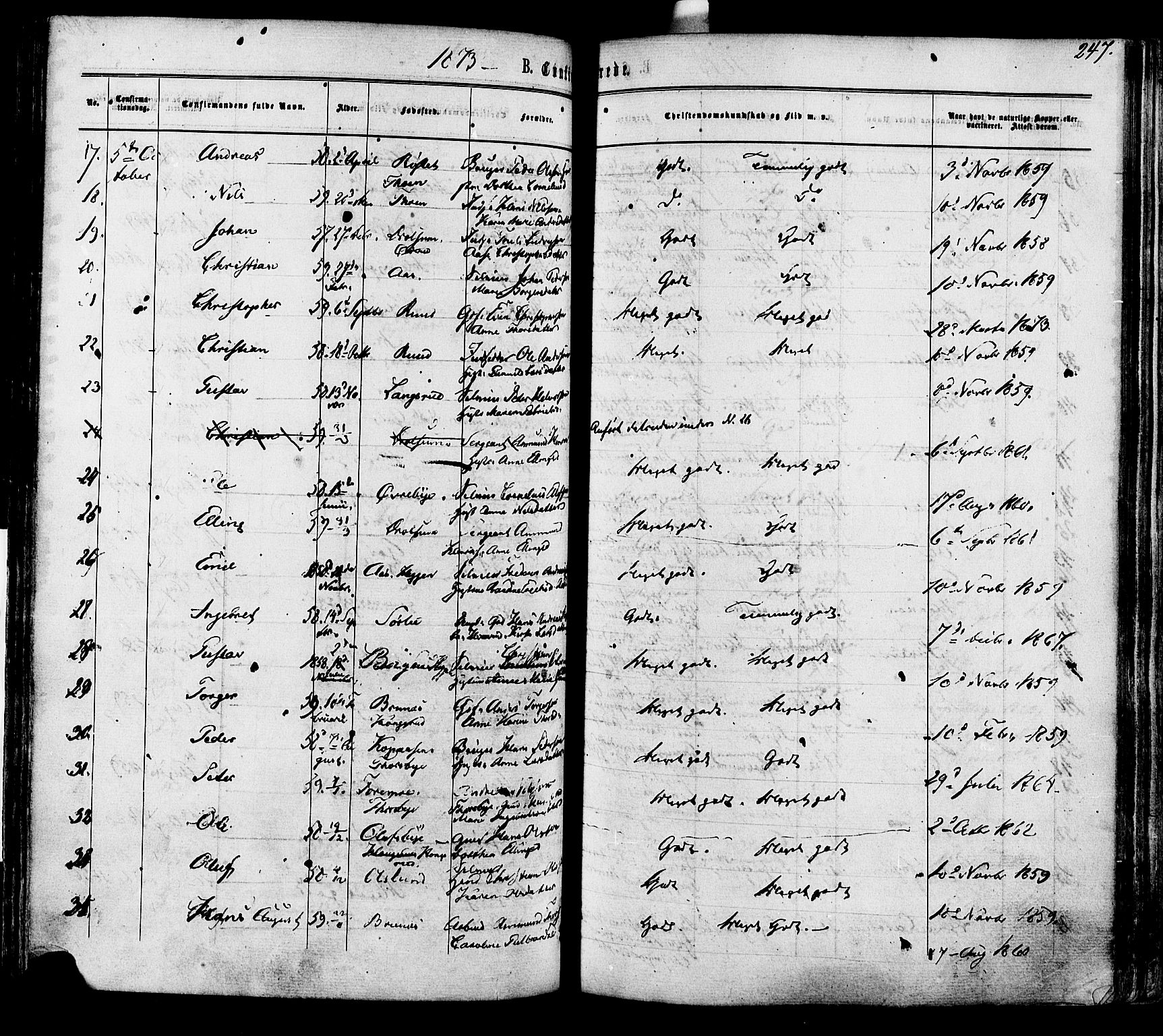 Modum kirkebøker, AV/SAKO-A-234/F/Fa/L0010: Parish register (official) no. 10, 1865-1876, p. 247