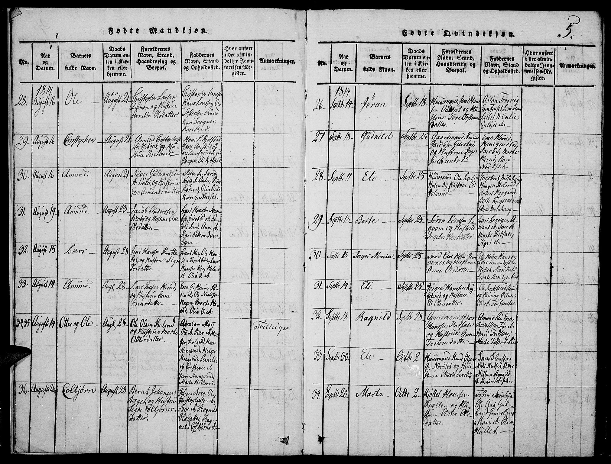 Strøm-Odalen prestekontor, SAH/PREST-028/H/Ha/Hab/L0001: Parish register (copy) no. 1, 1813-1825, p. 5