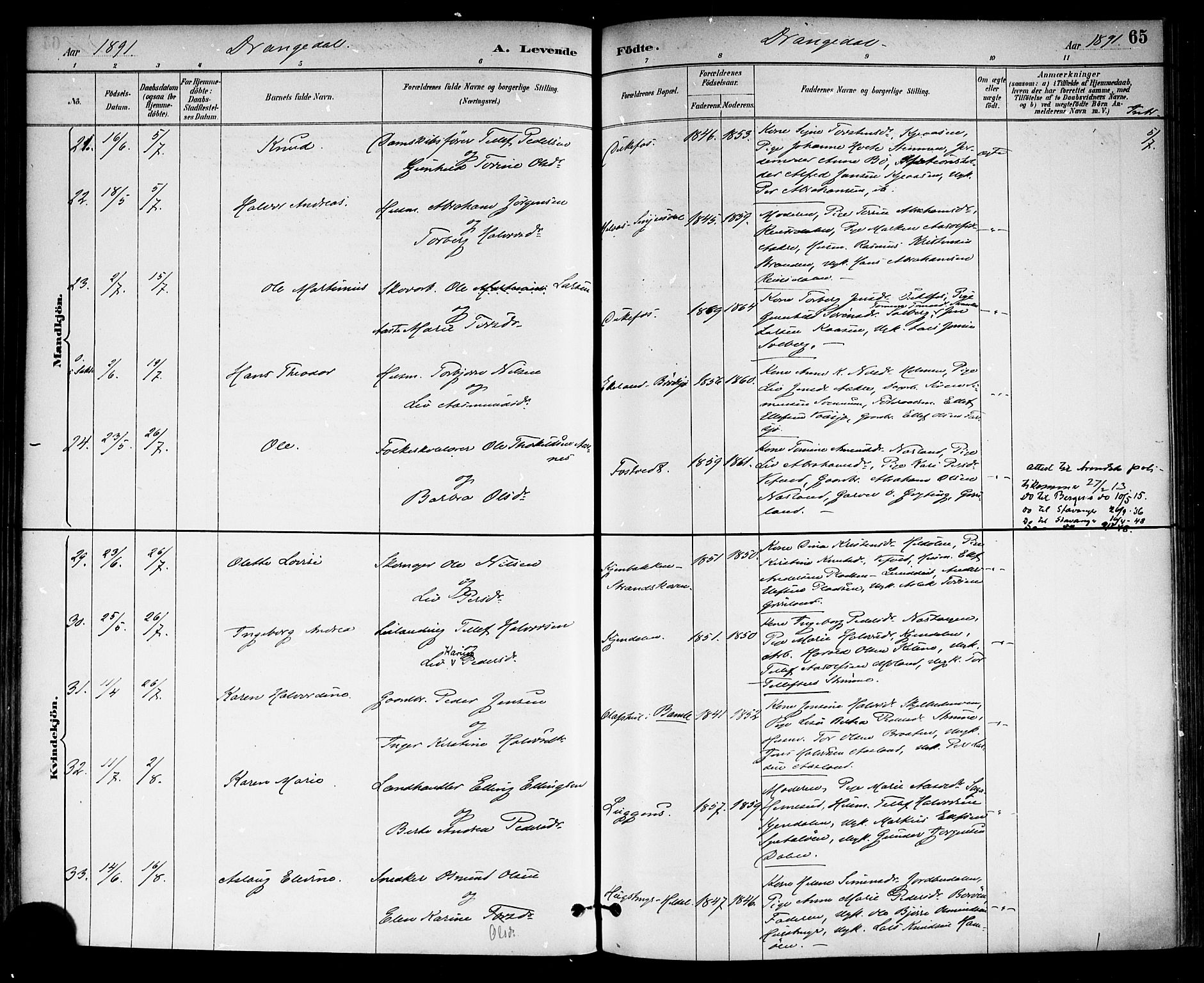 Drangedal kirkebøker, SAKO/A-258/F/Fa/L0010: Parish register (official) no. 10 /1, 1885-1894, p. 65