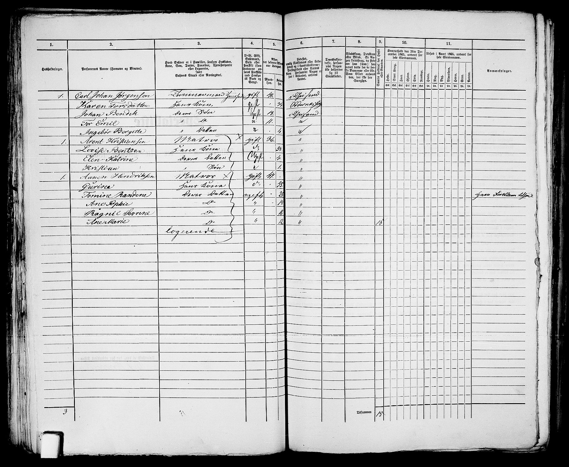 RA, 1865 census for Kristiansand, 1865, p. 1114