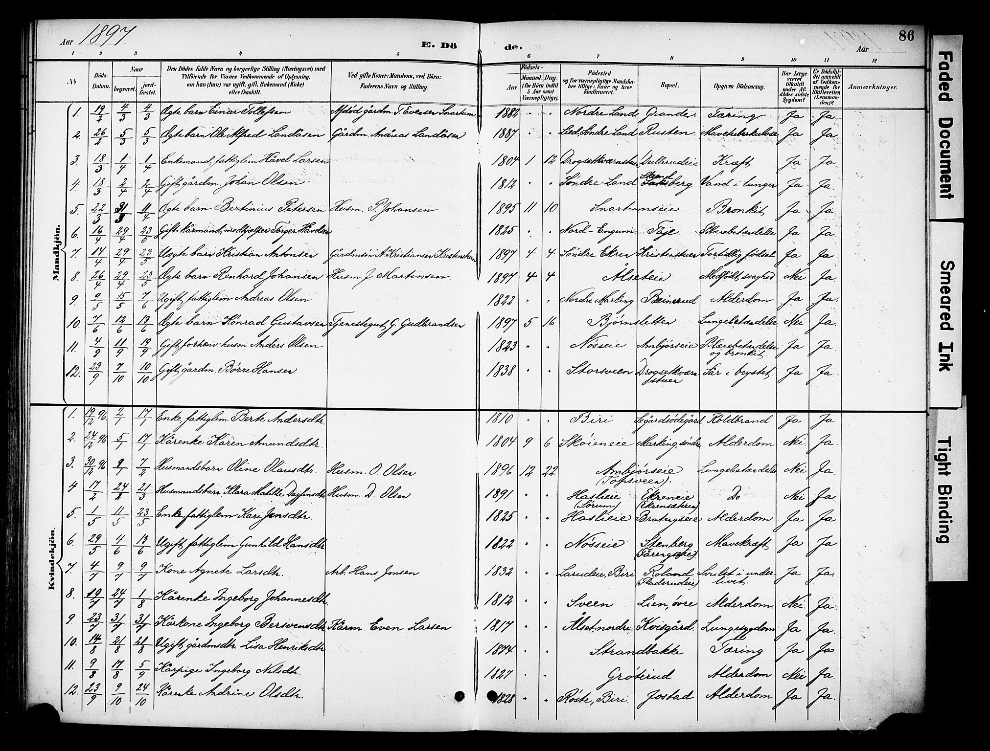 Biri prestekontor, SAH/PREST-096/H/Ha/Haa/L0008: Parish register (official) no. 8, 1894-1901, p. 86