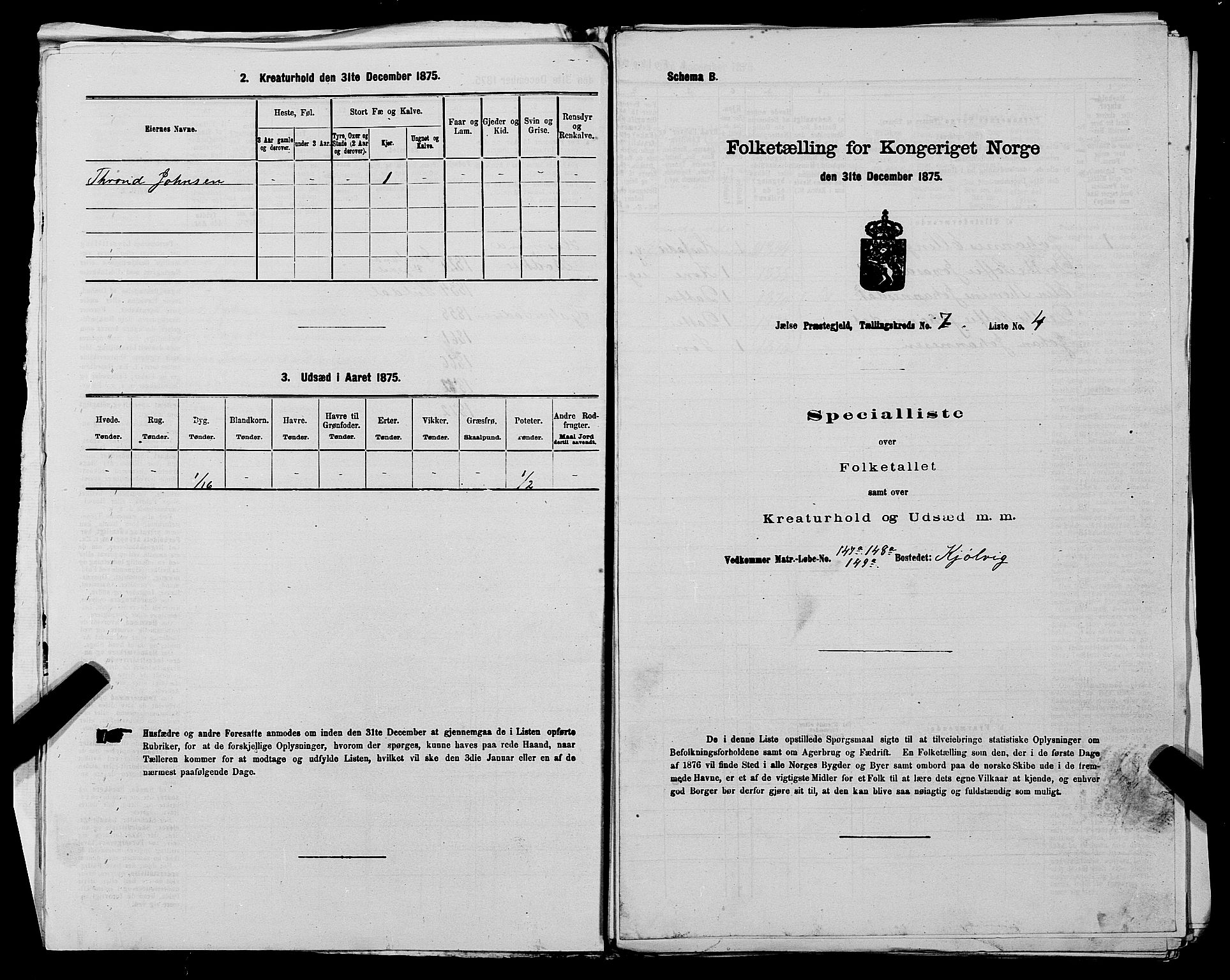 SAST, 1875 census for 1138P Jelsa, 1875, p. 592