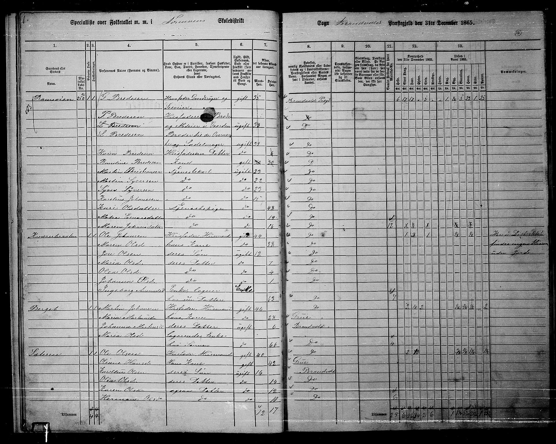 RA, 1865 census for Brandval, 1865, p. 13