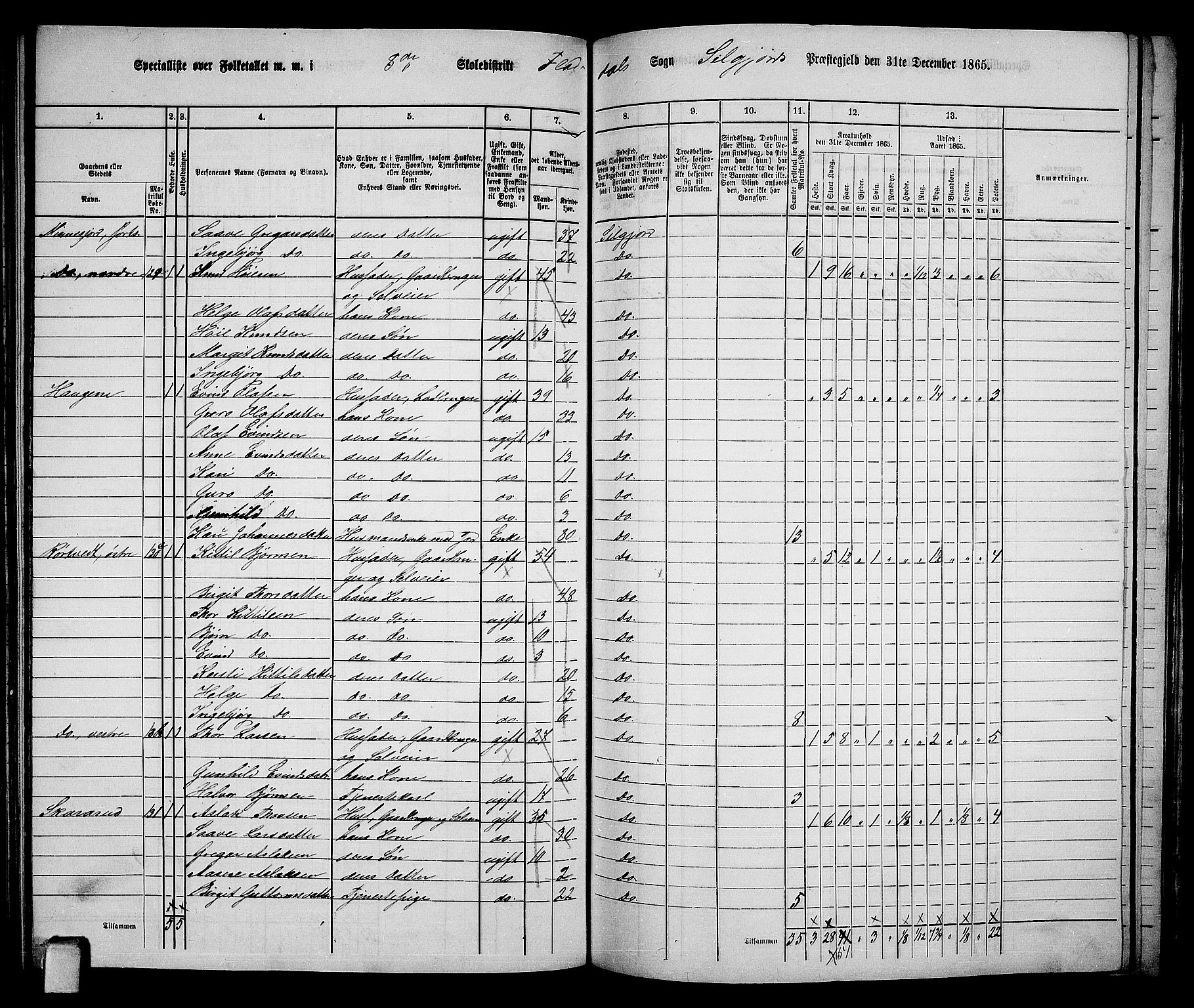 RA, 1865 census for Seljord, 1865, p. 118