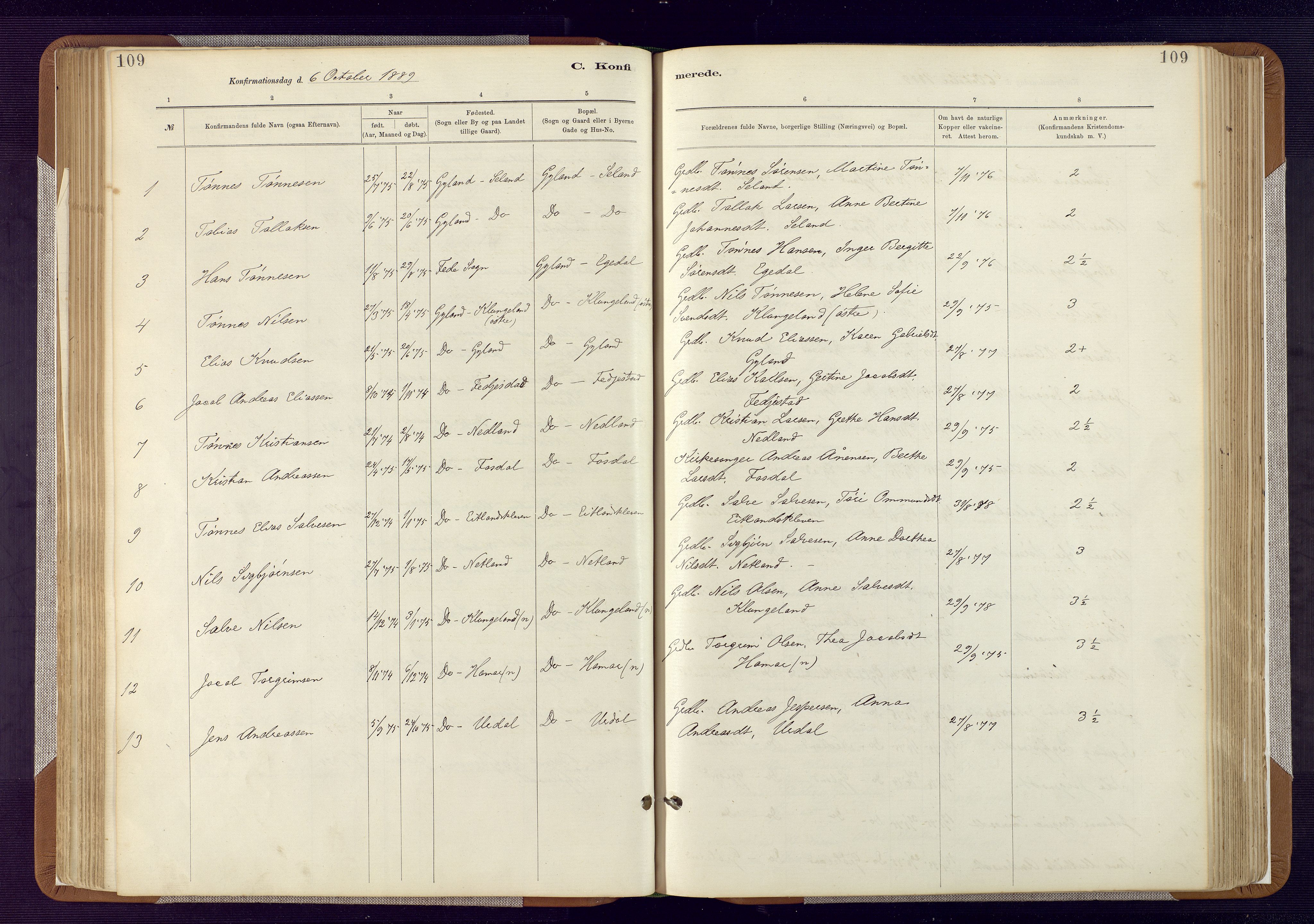 Bakke sokneprestkontor, SAK/1111-0002/F/Fa/Fab/L0003: Parish register (official) no. A 3, 1884-1921, p. 109