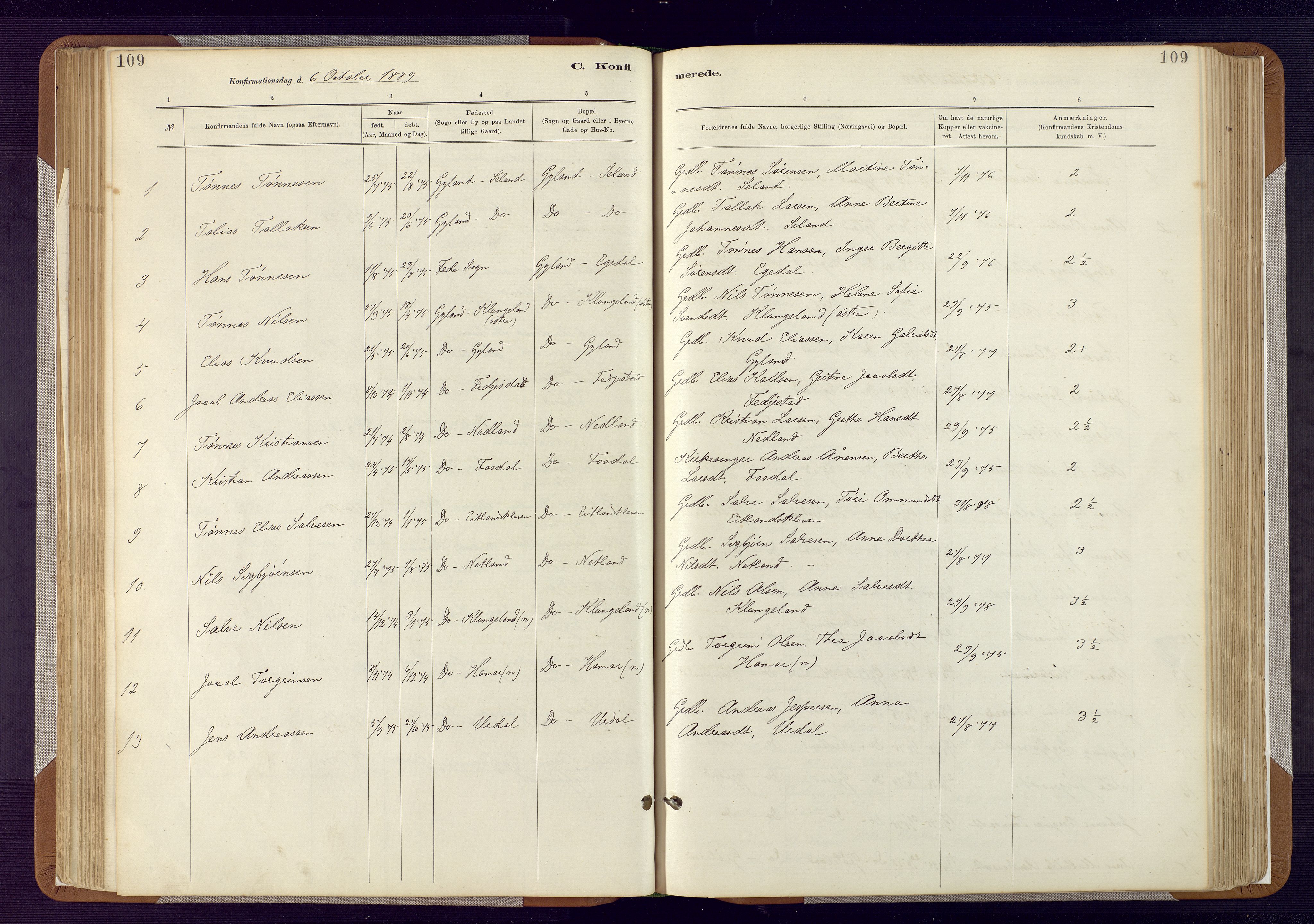 Bakke sokneprestkontor, AV/SAK-1111-0002/F/Fa/Fab/L0003: Parish register (official) no. A 3, 1884-1921, p. 109