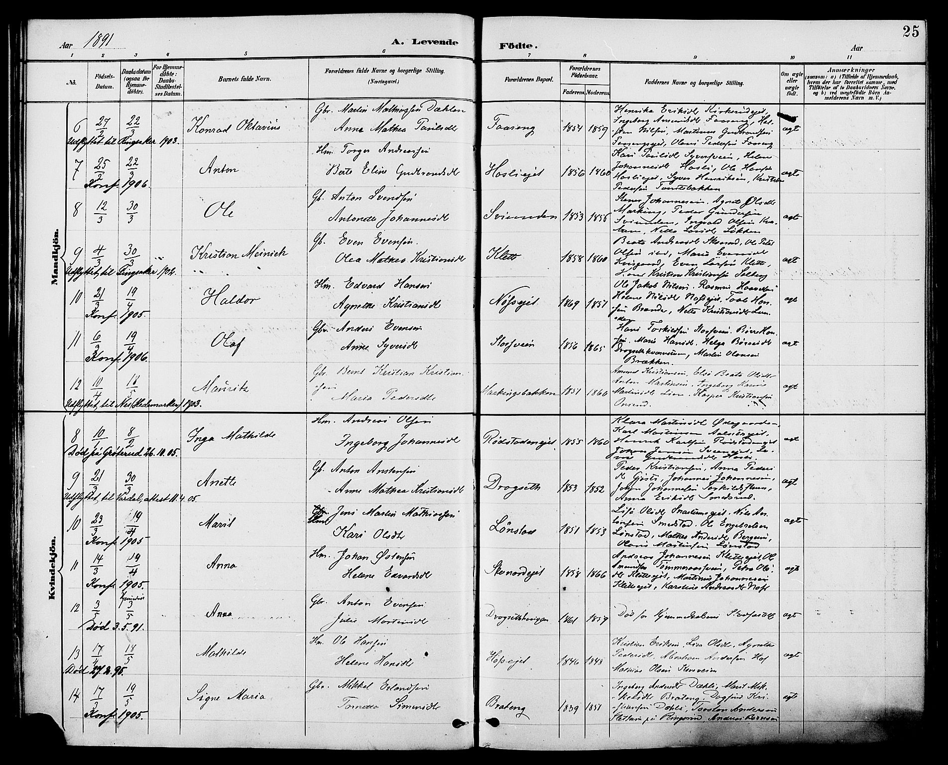 Biri prestekontor, SAH/PREST-096/H/Ha/Haa/L0007: Parish register (official) no. 7, 1887-1893, p. 25