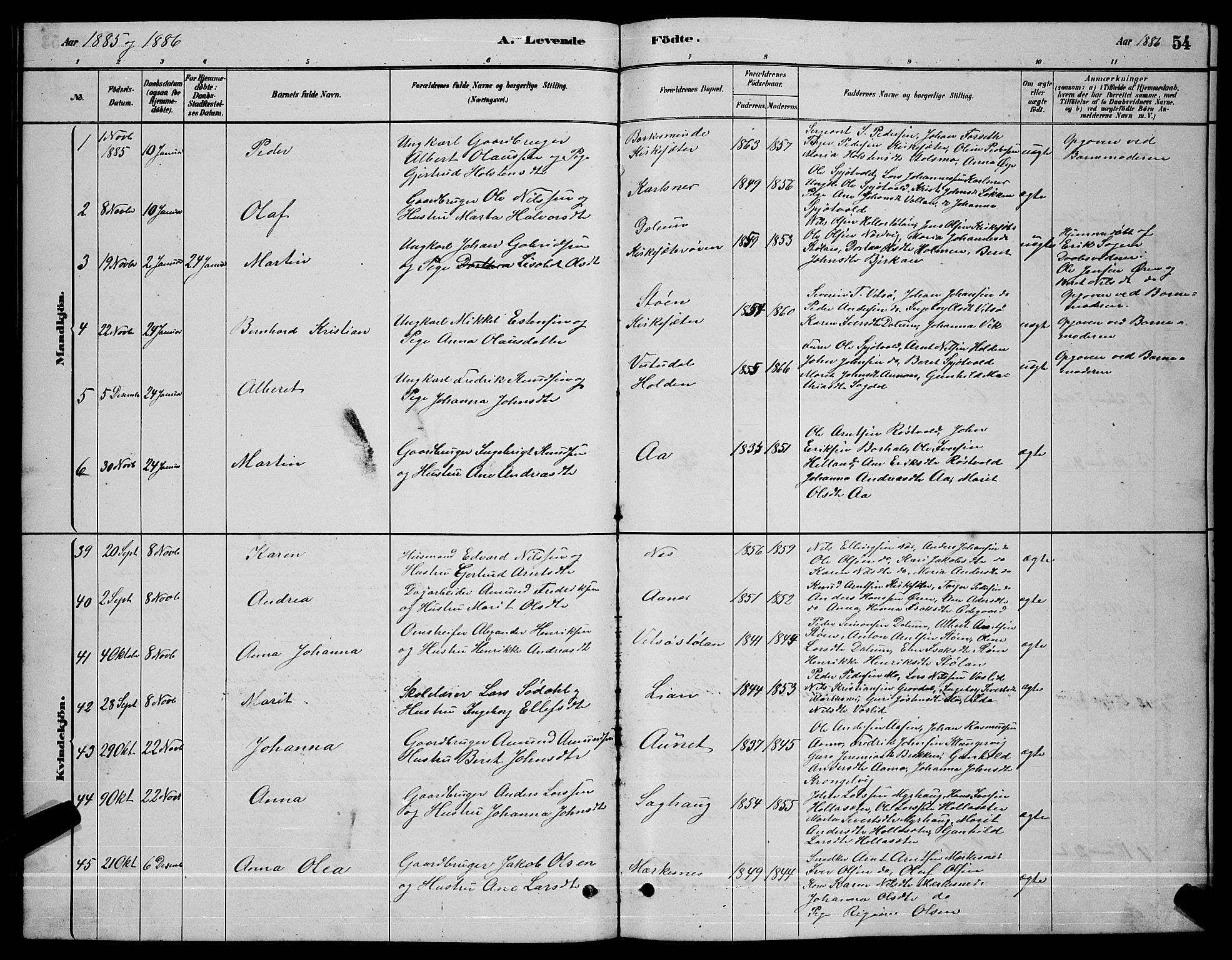 Ministerialprotokoller, klokkerbøker og fødselsregistre - Sør-Trøndelag, SAT/A-1456/630/L0504: Parish register (copy) no. 630C02, 1879-1898, p. 54